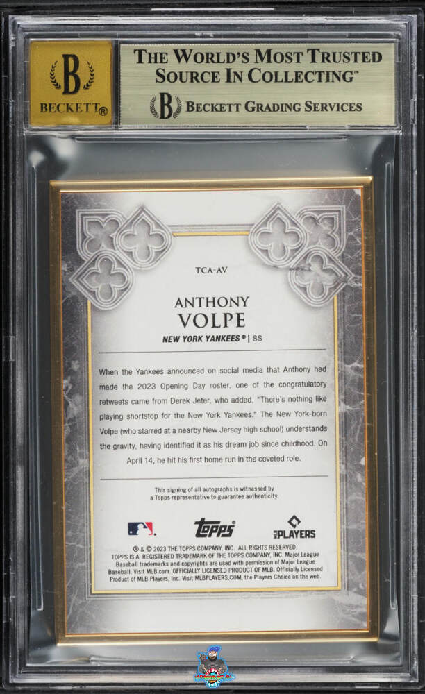 Back of 2023 Transcendent Transcendent Collection Gold Frame Autographs Platinum Anthony Volpe #TCAAV