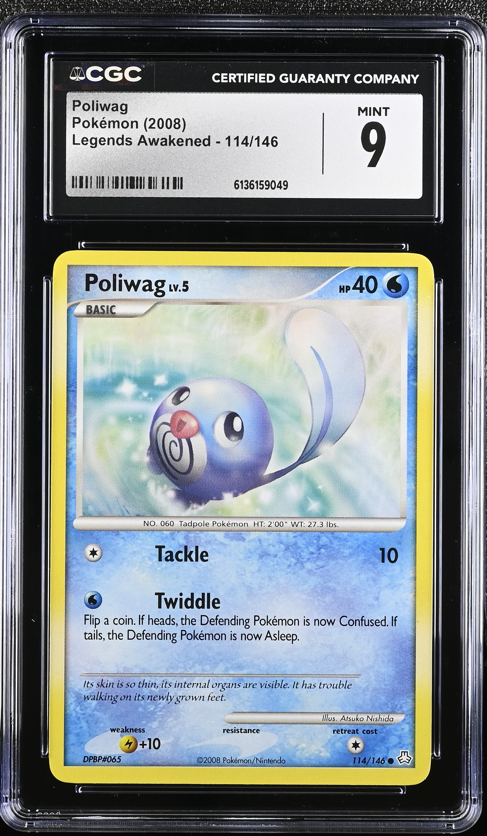 2008 Pokemon Legends Awakened Poliwag English