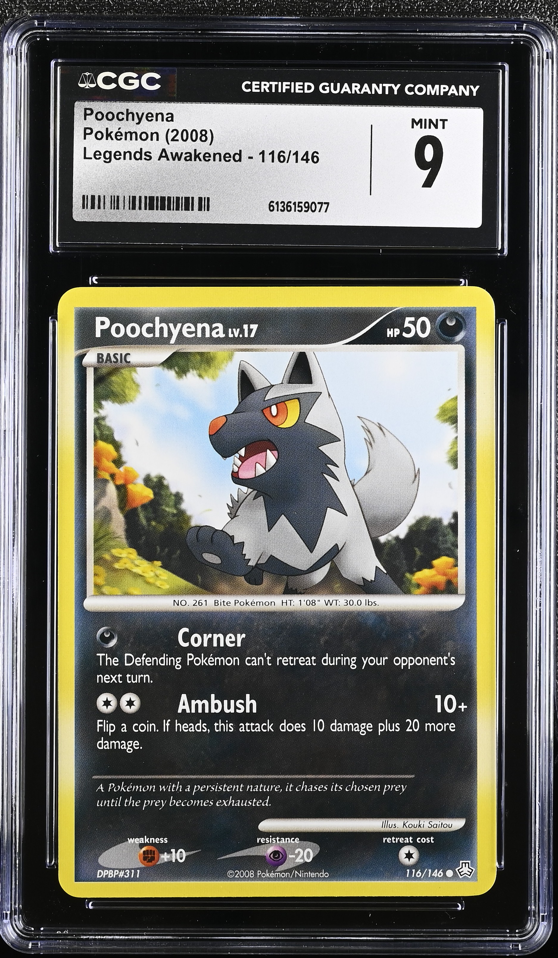 2008 Pokemon Legends Awakened Poochyena English