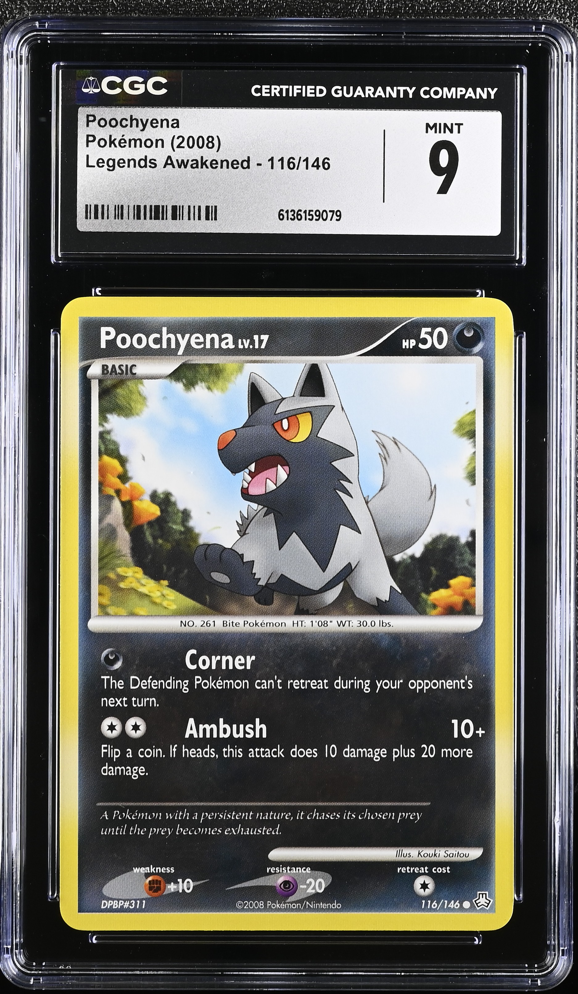 2008 Pokemon Legends Awakened Poochyena English