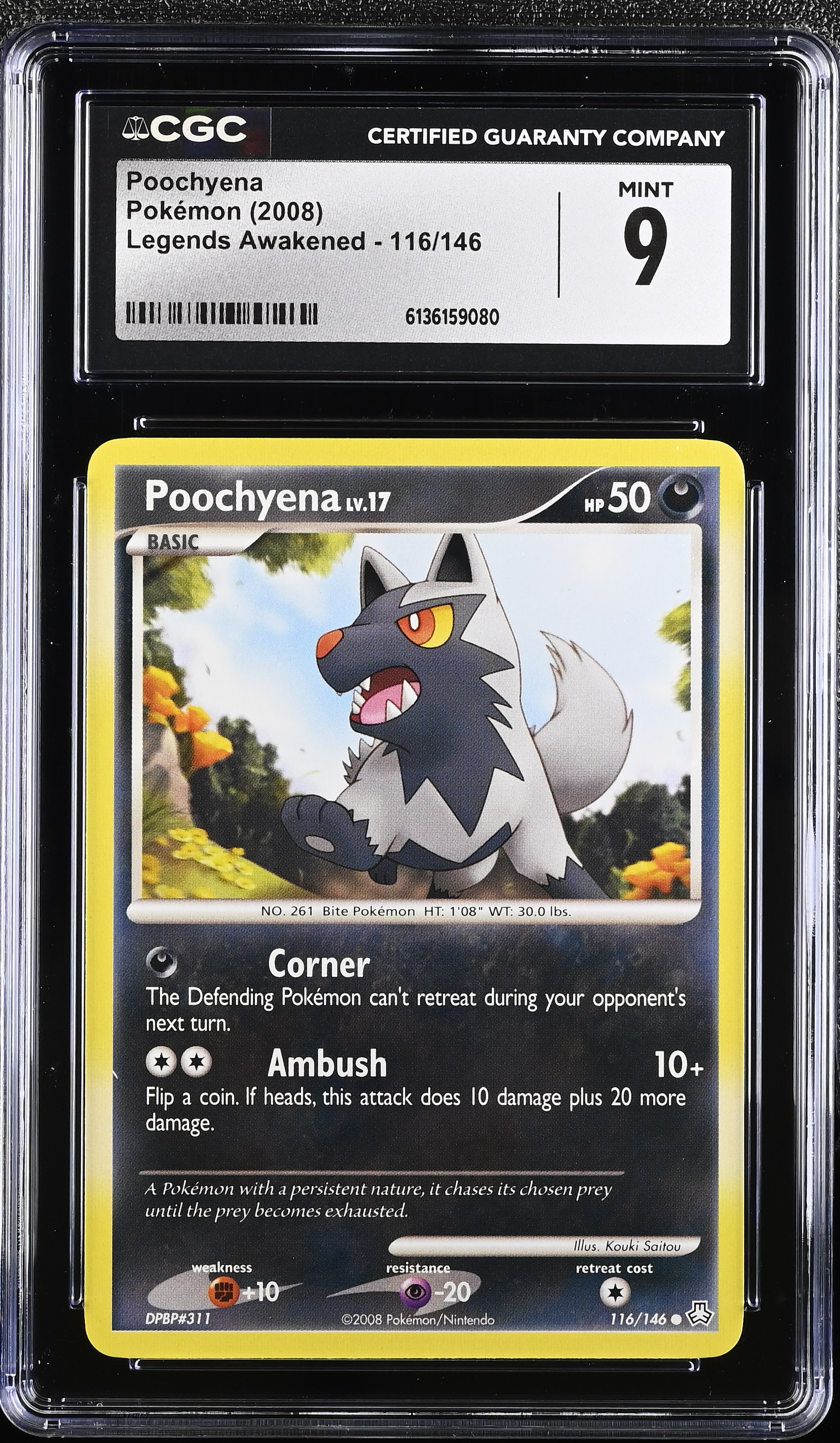 2008 Pokemon Legends Awakened Poochyena English