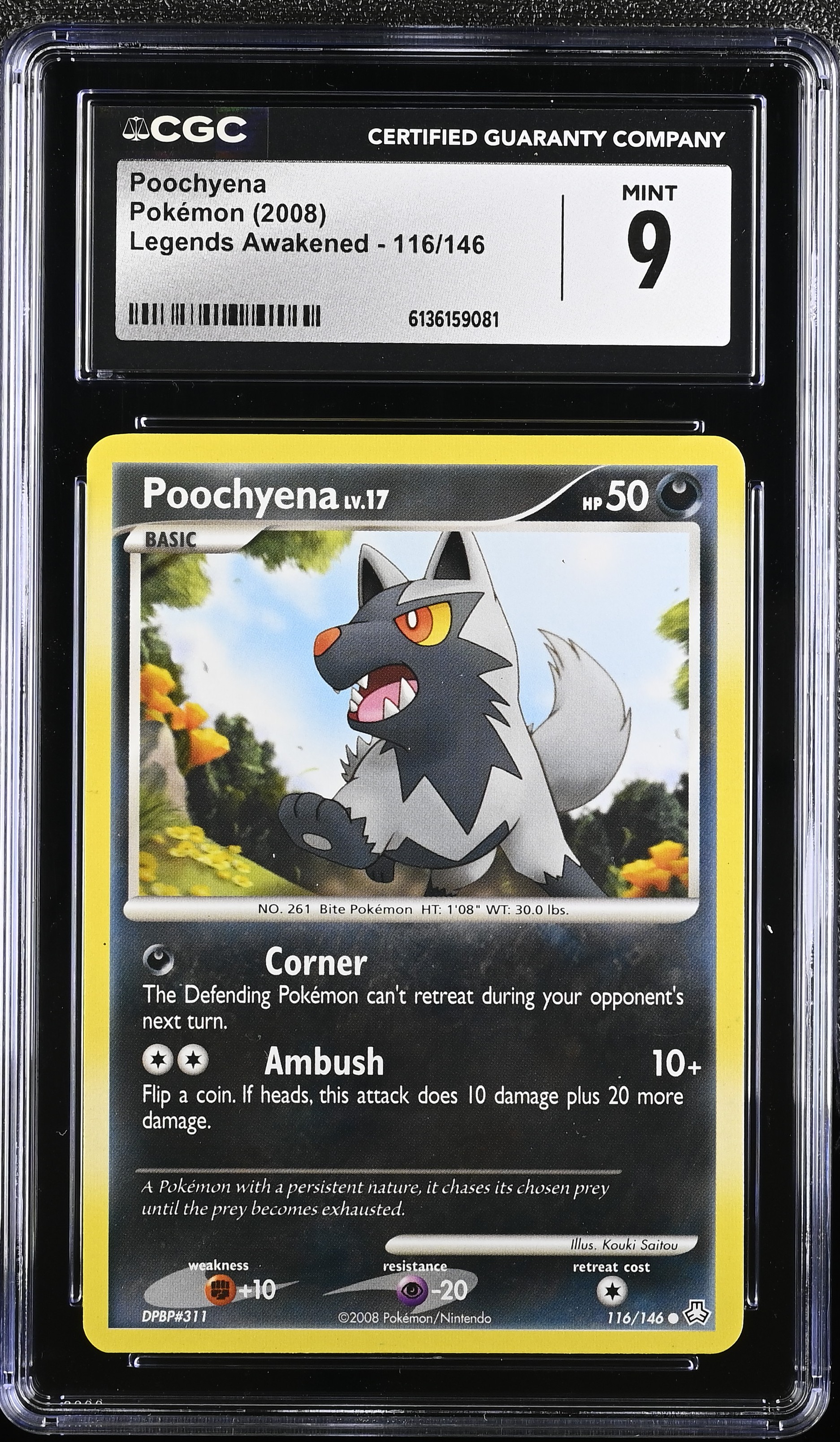 2008 Pokemon Legends Awakened Poochyena English