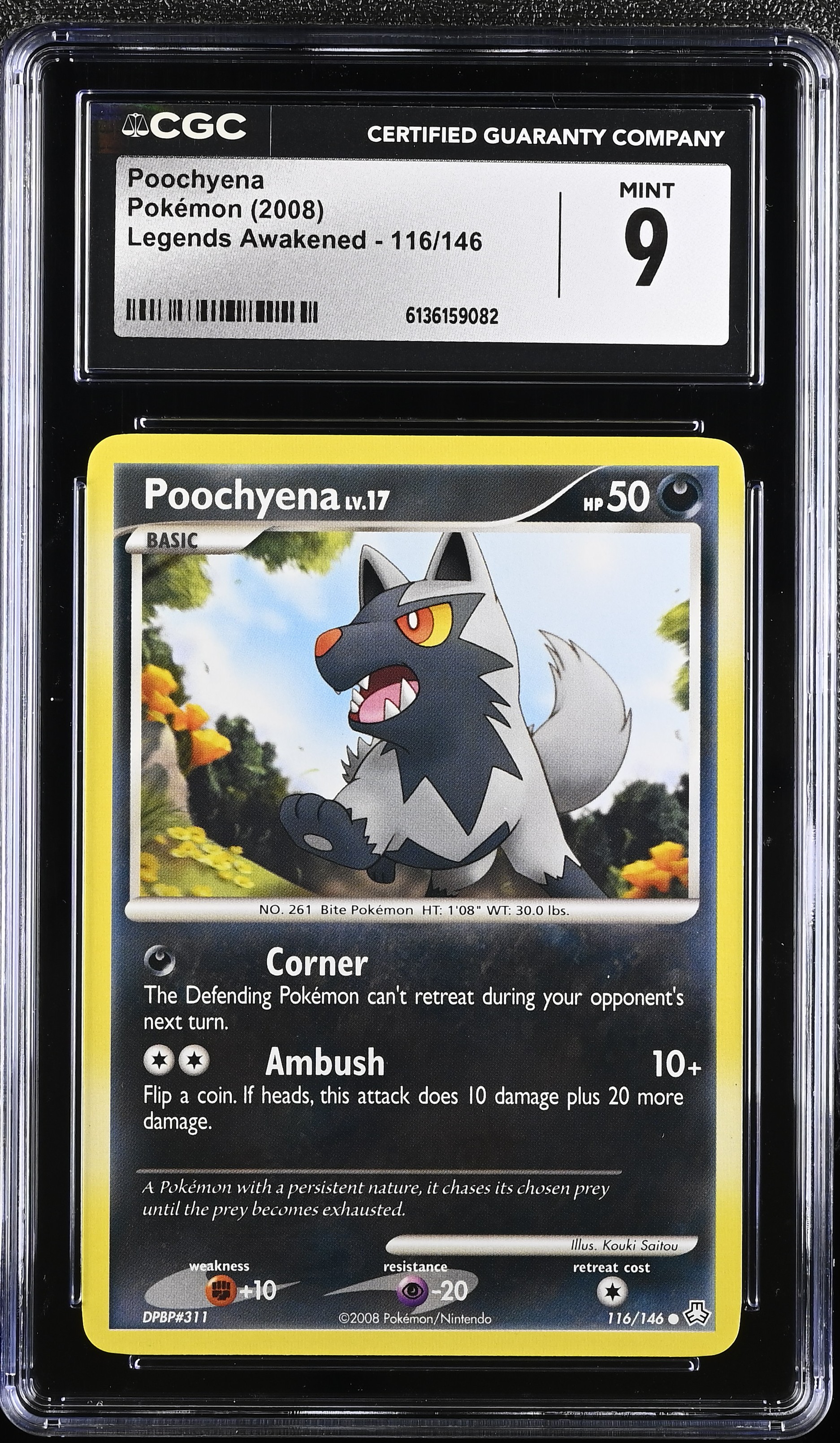 2008 Pokemon Legends Awakened Poochyena English