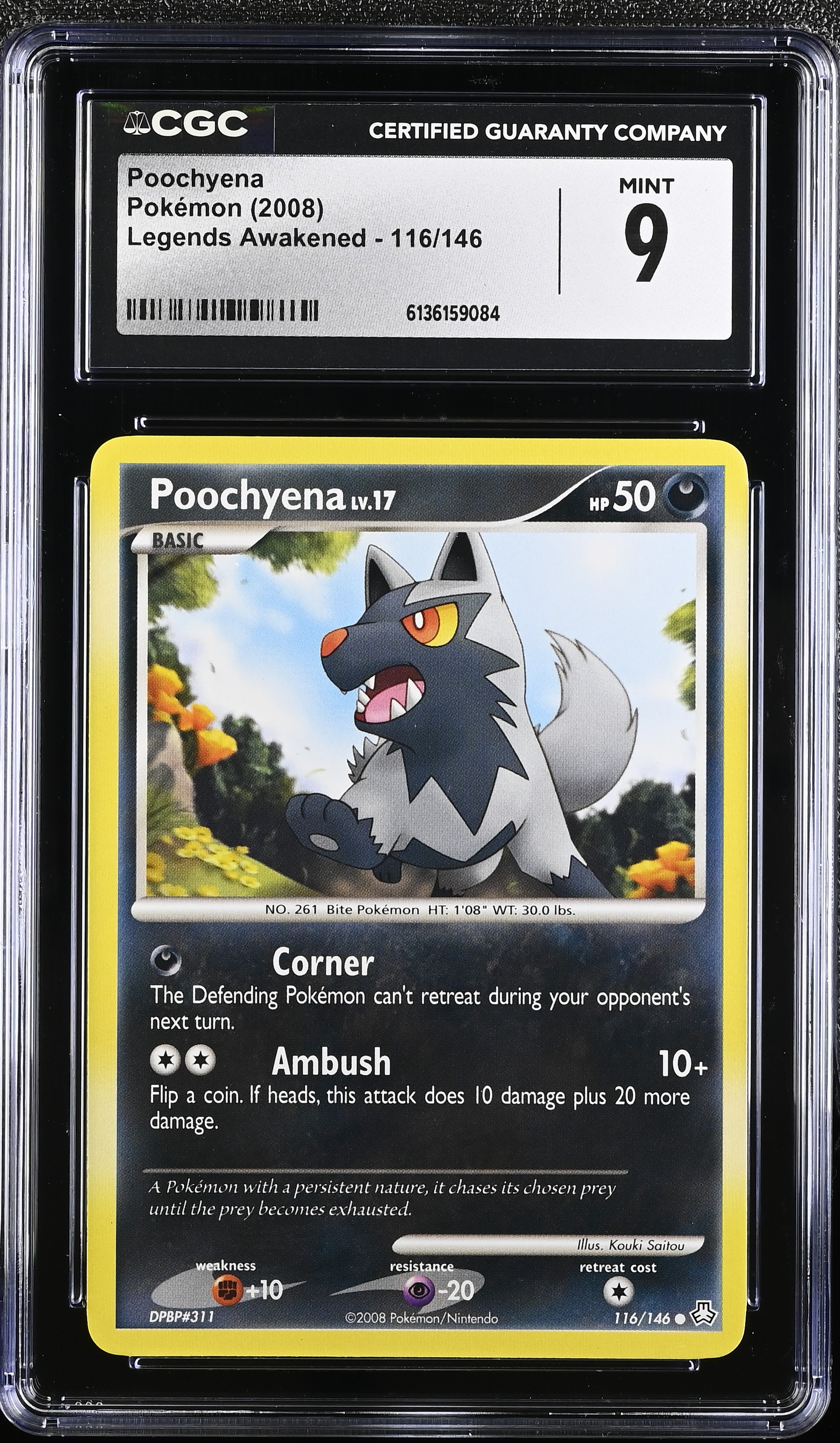 2008 Pokemon Legends Awakened Poochyena English