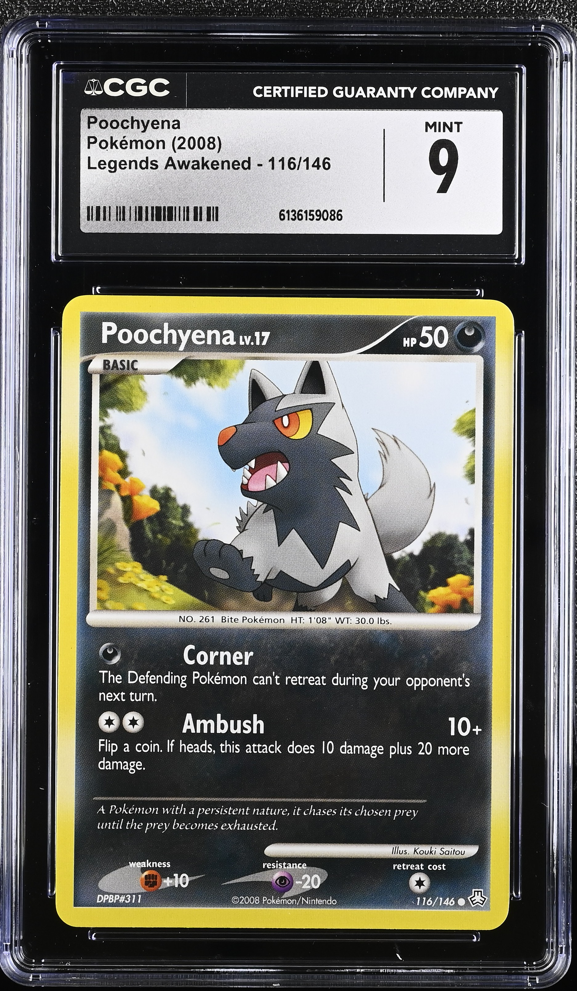 2008 Pokemon Legends Awakened Poochyena English