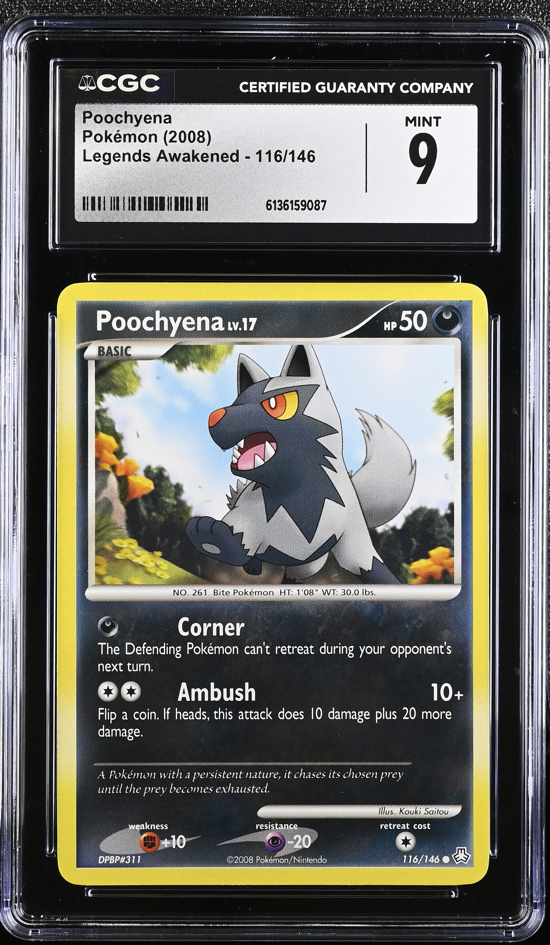 2008 Pokemon Legends Awakened Poochyena English