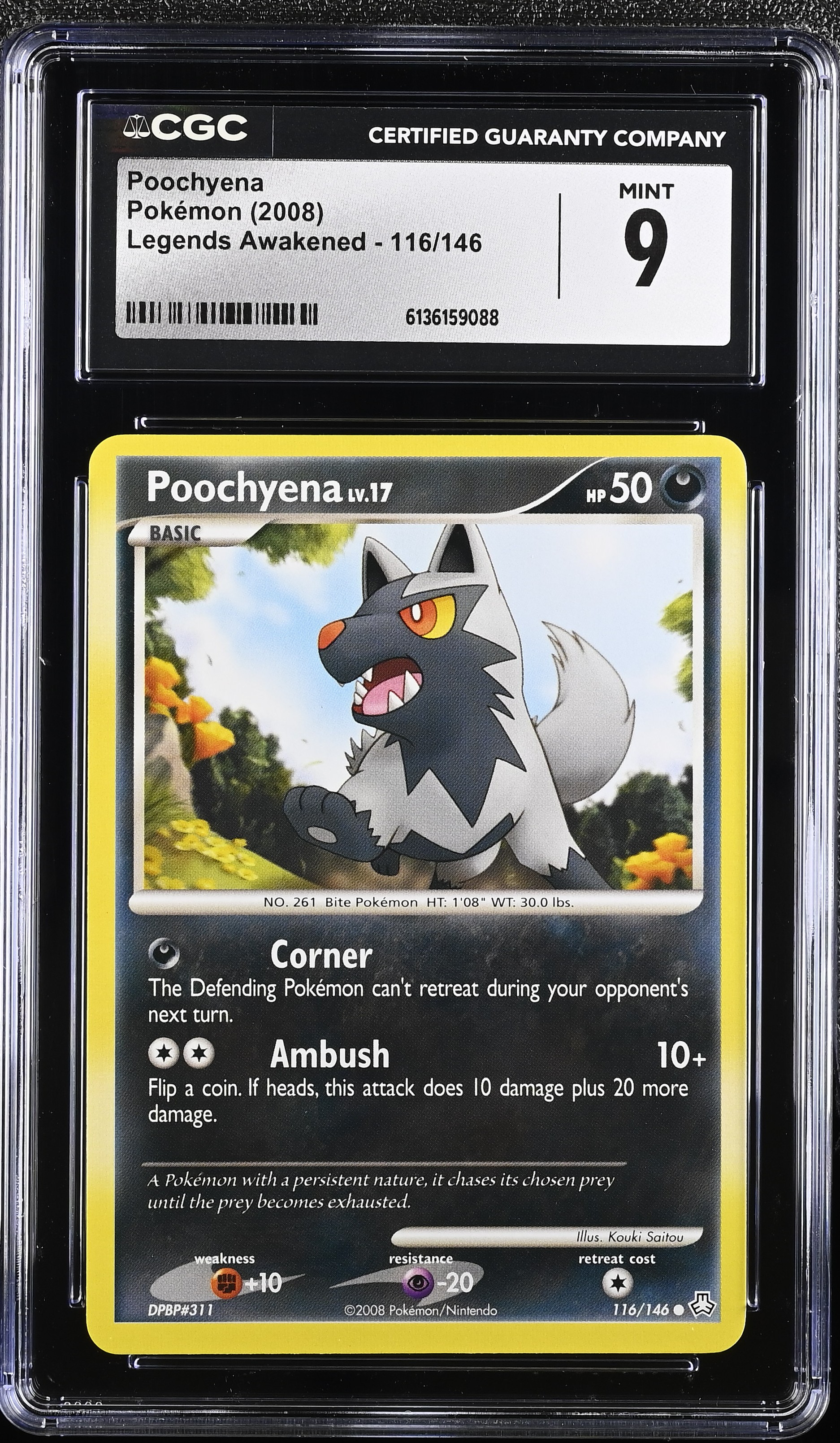 2008 Pokemon Legends Awakened Poochyena English