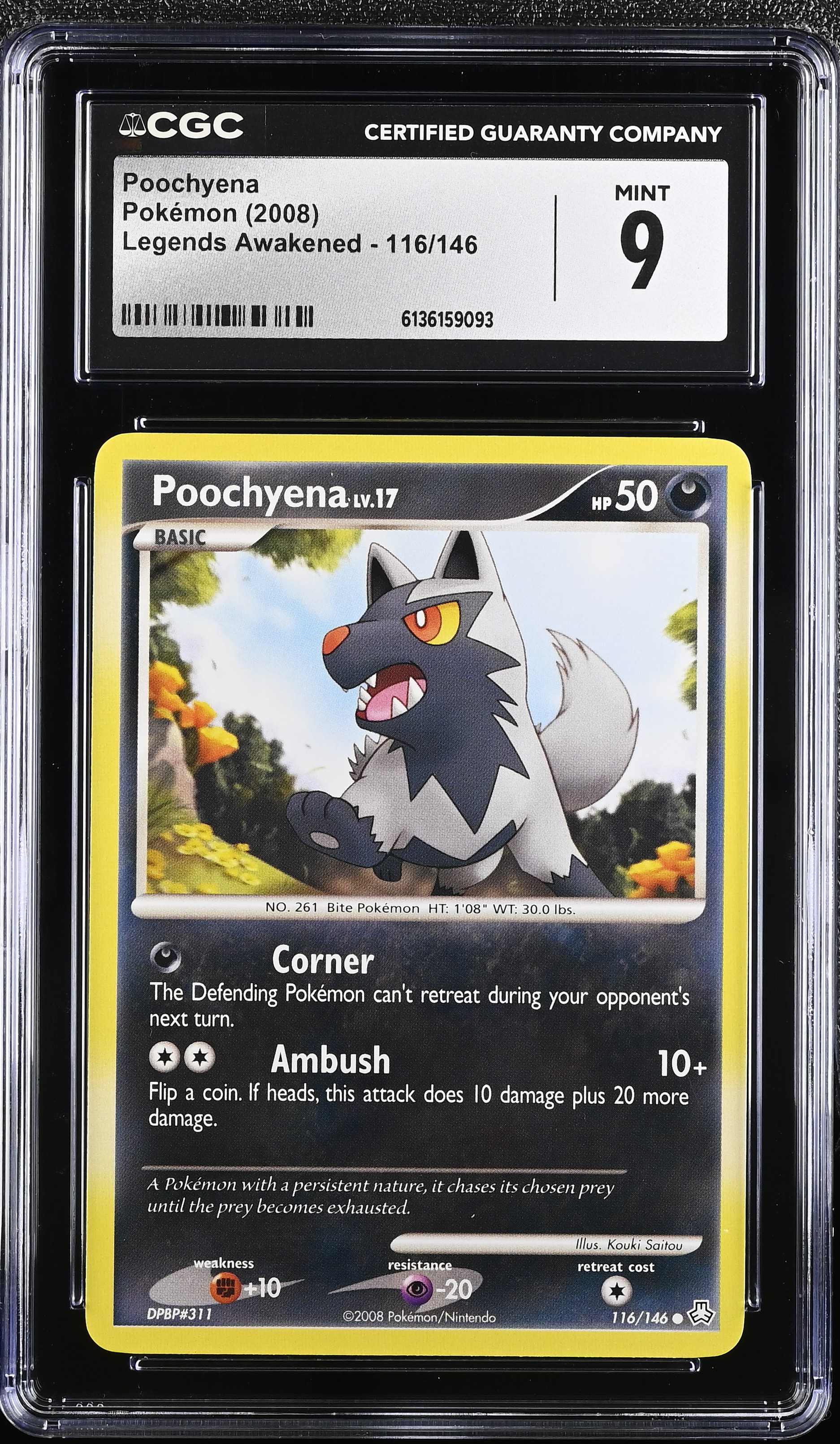 2008 Pokemon Legends Awakened Poochyena English
