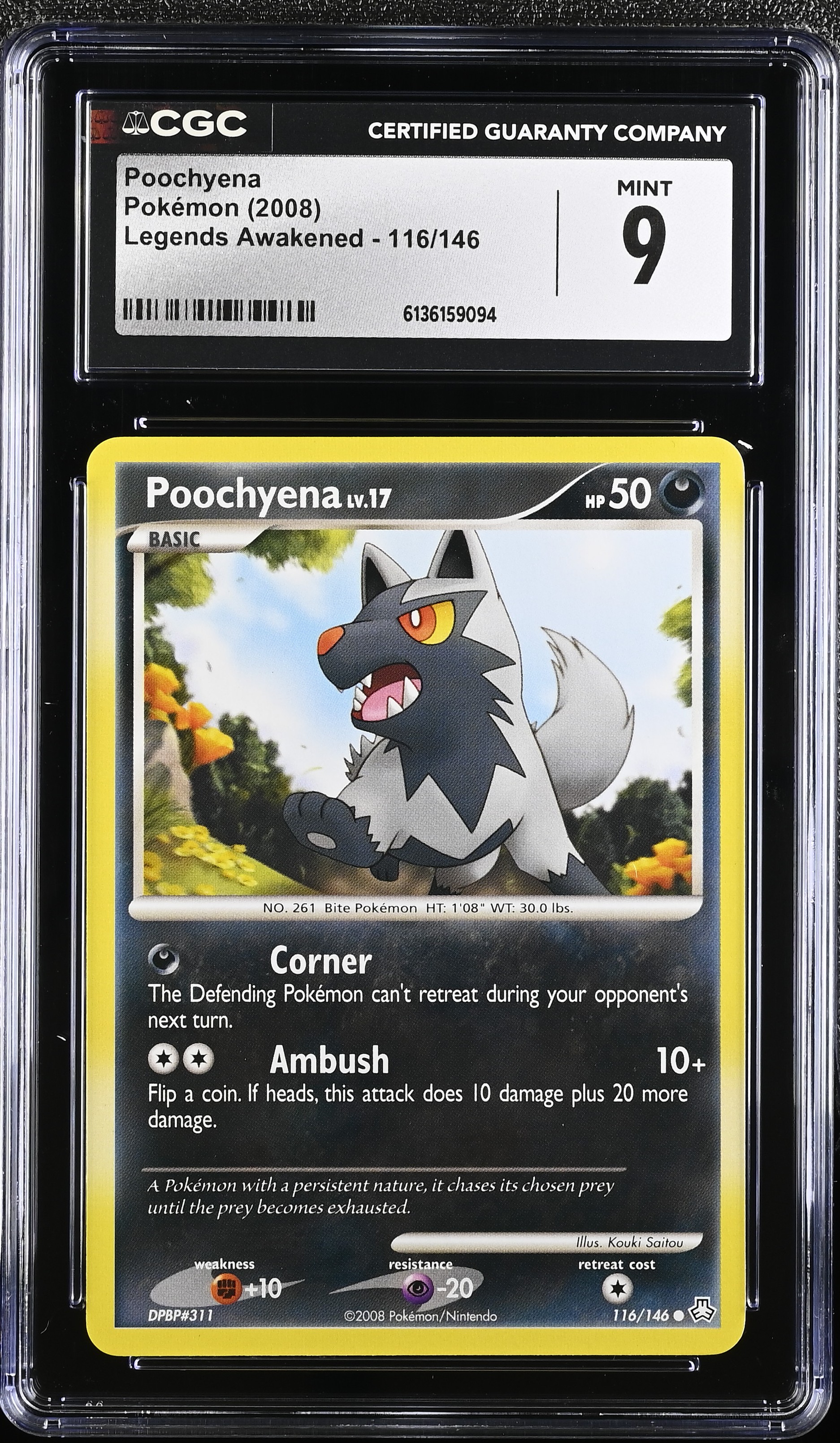 2008 Pokemon Legends Awakened Poochyena English