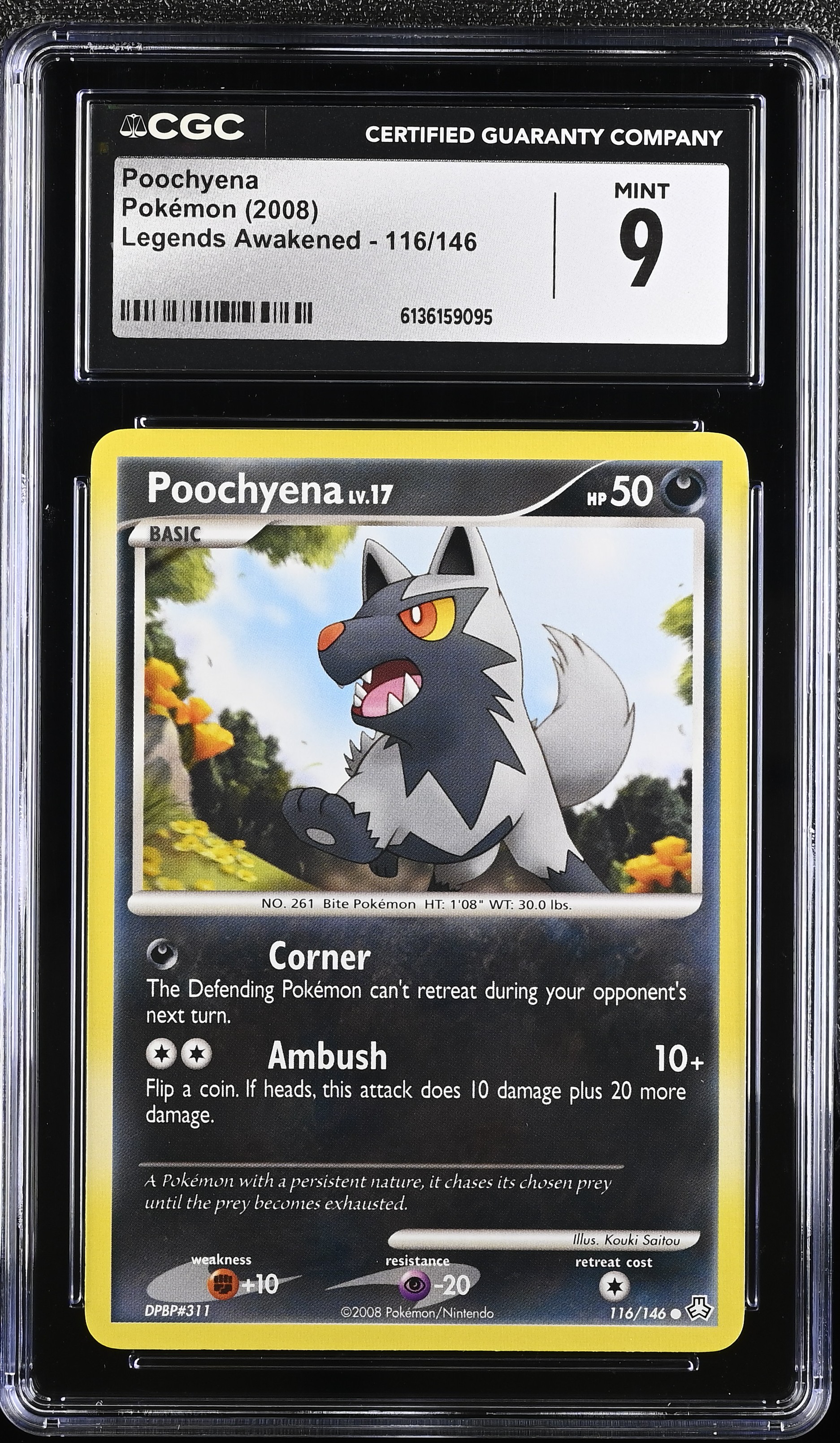 2008 Pokemon Legends Awakened Poochyena English