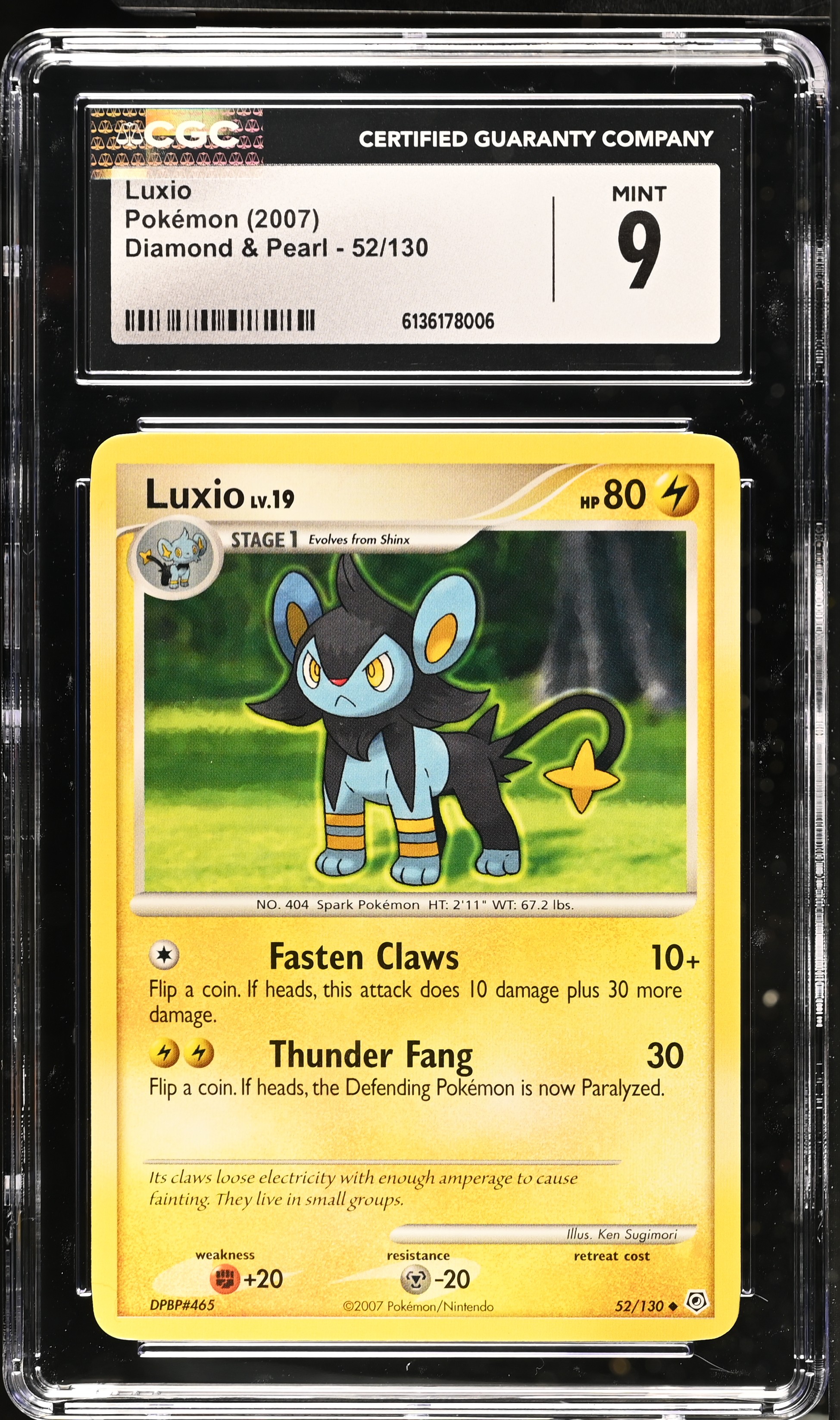2007 Pokemon Diamond & Pearl Luxio English