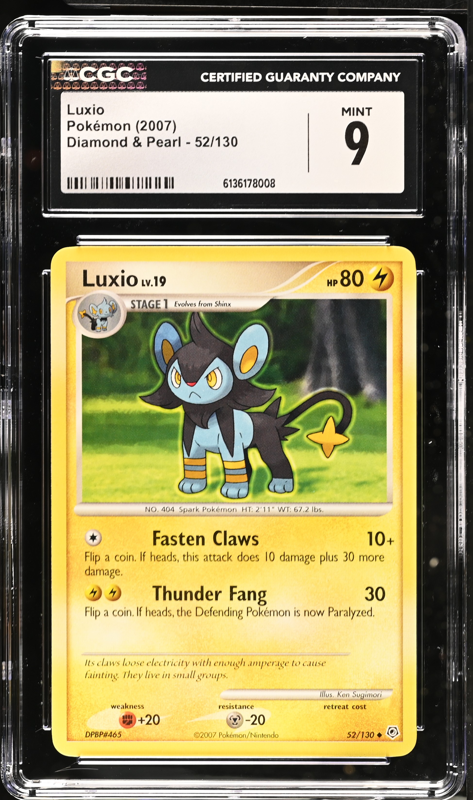 2007 Pokemon Diamond & Pearl Luxio English