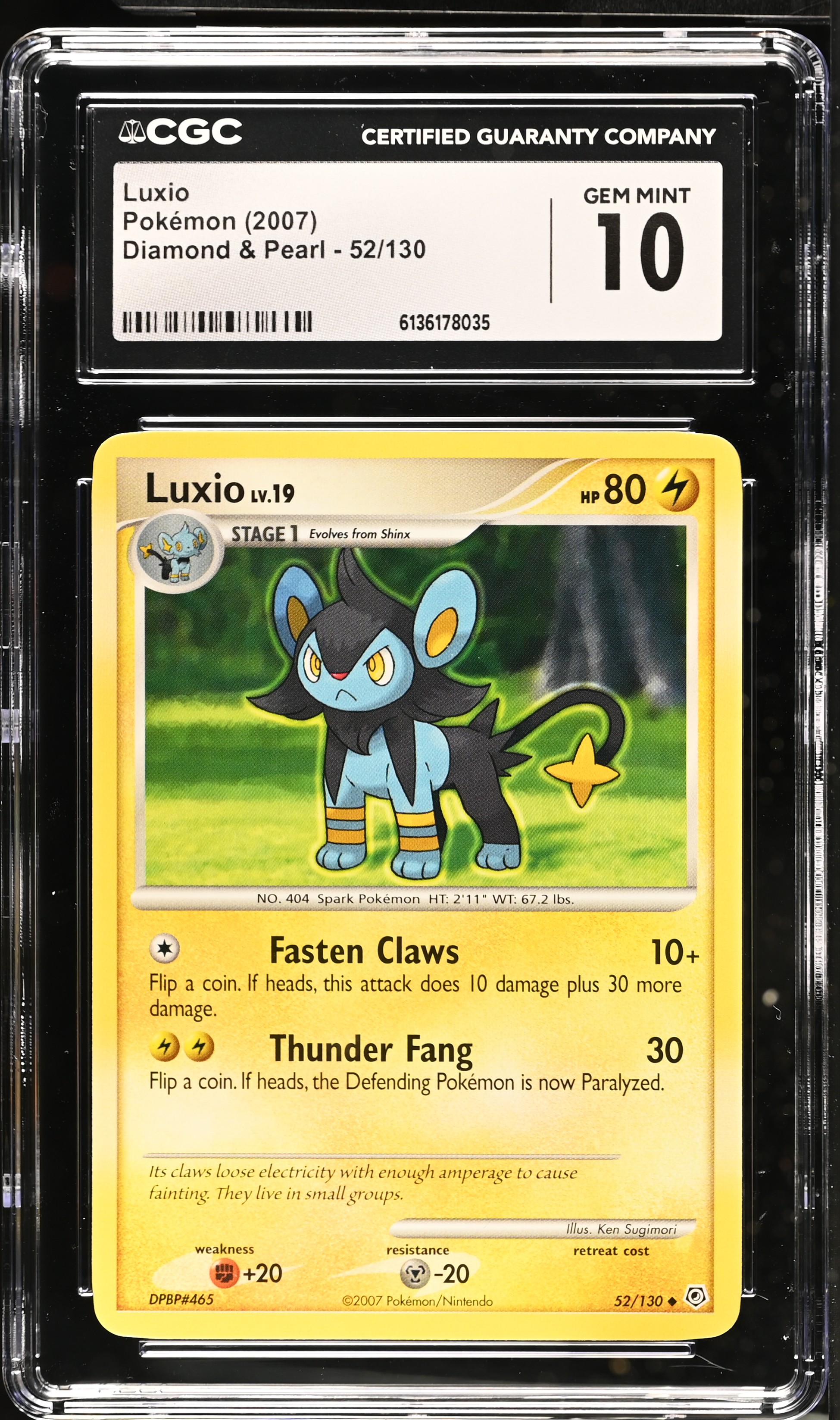 2007 Pokemon Diamond & Pearl Luxio English
