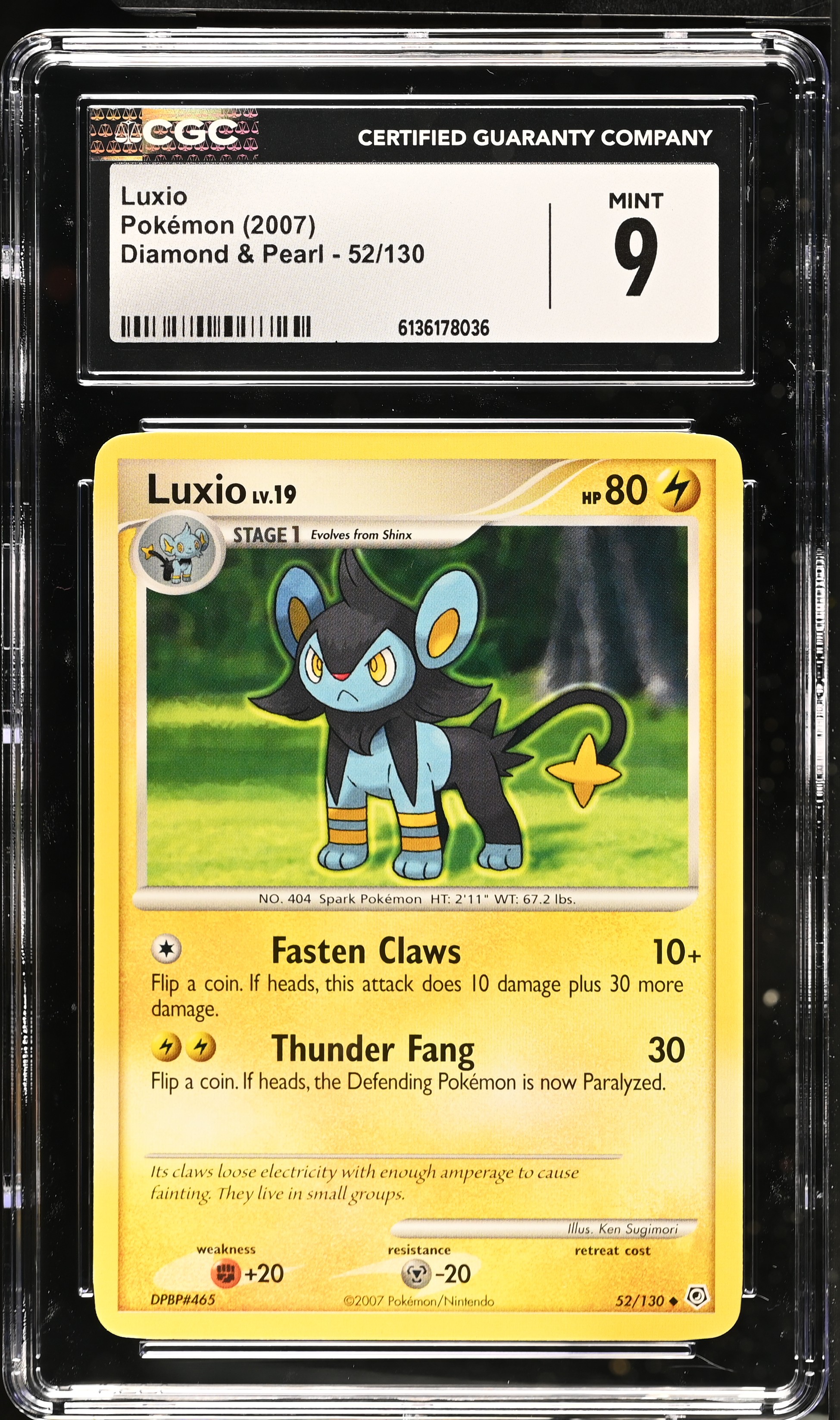 2007 Pokemon Diamond & Pearl Luxio English
