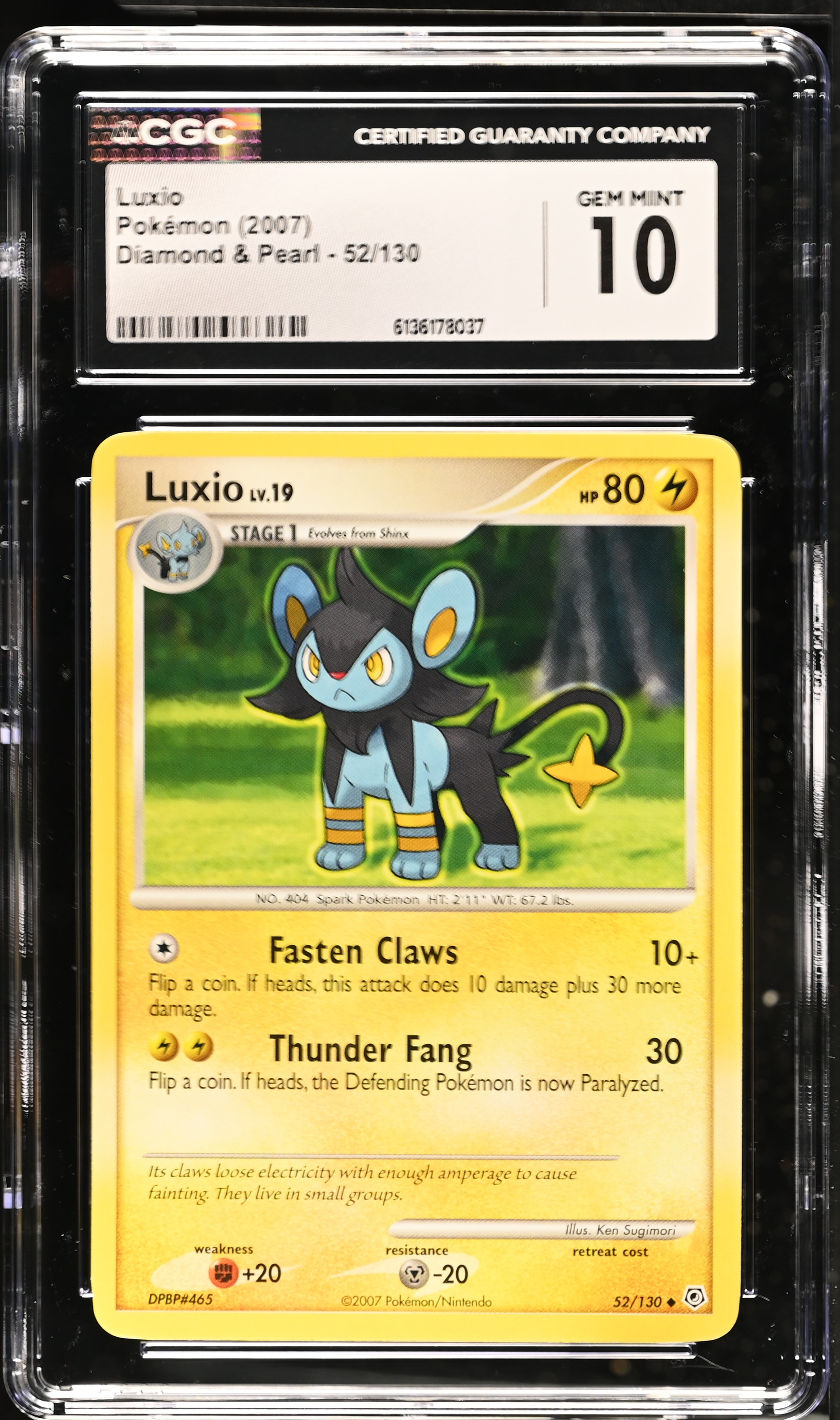 2007 Pokemon Diamond & Pearl Luxio English