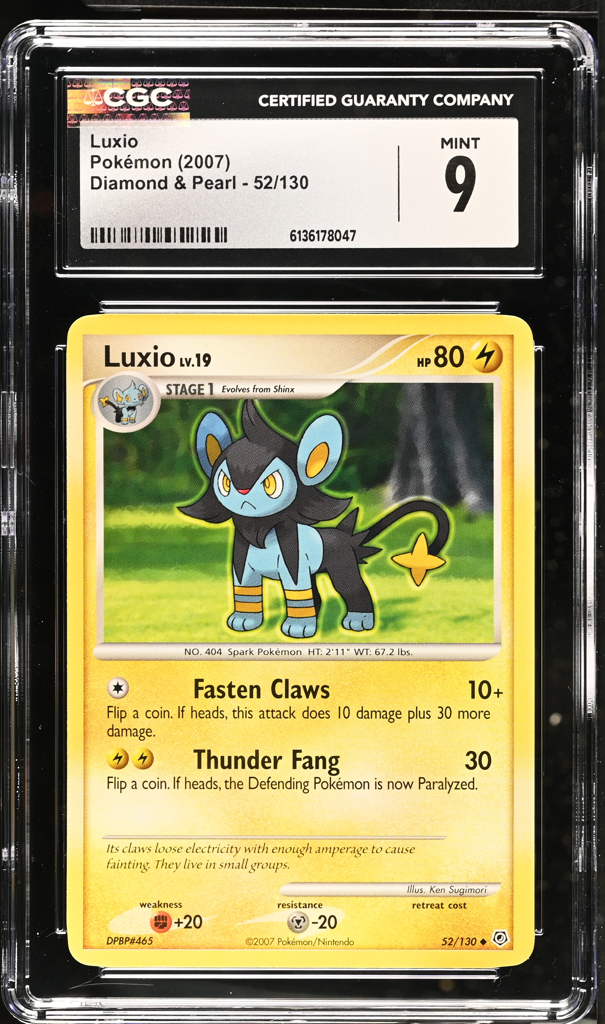 2007 Pokemon Diamond & Pearl Luxio English