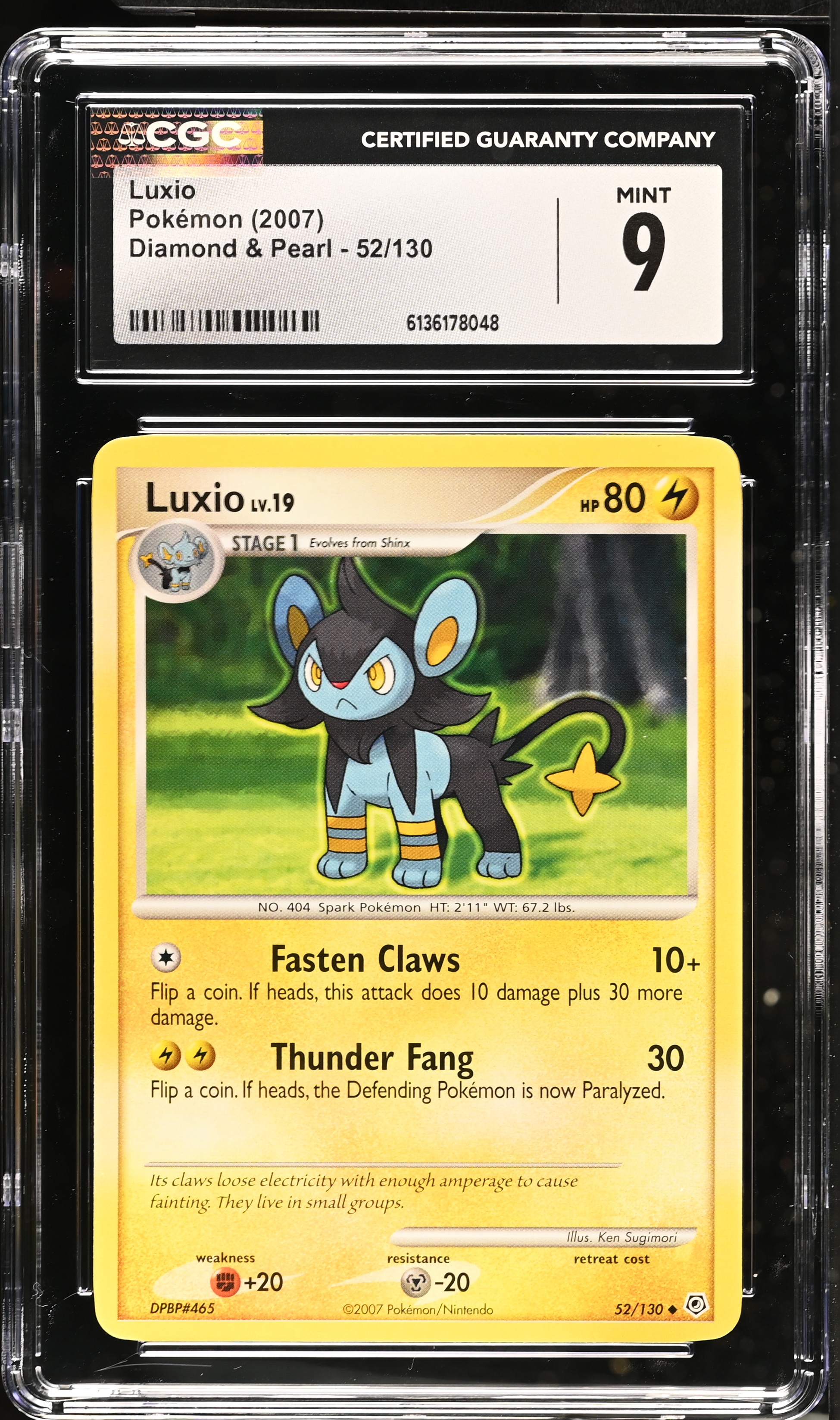 2007 Pokemon Diamond & Pearl Luxio English