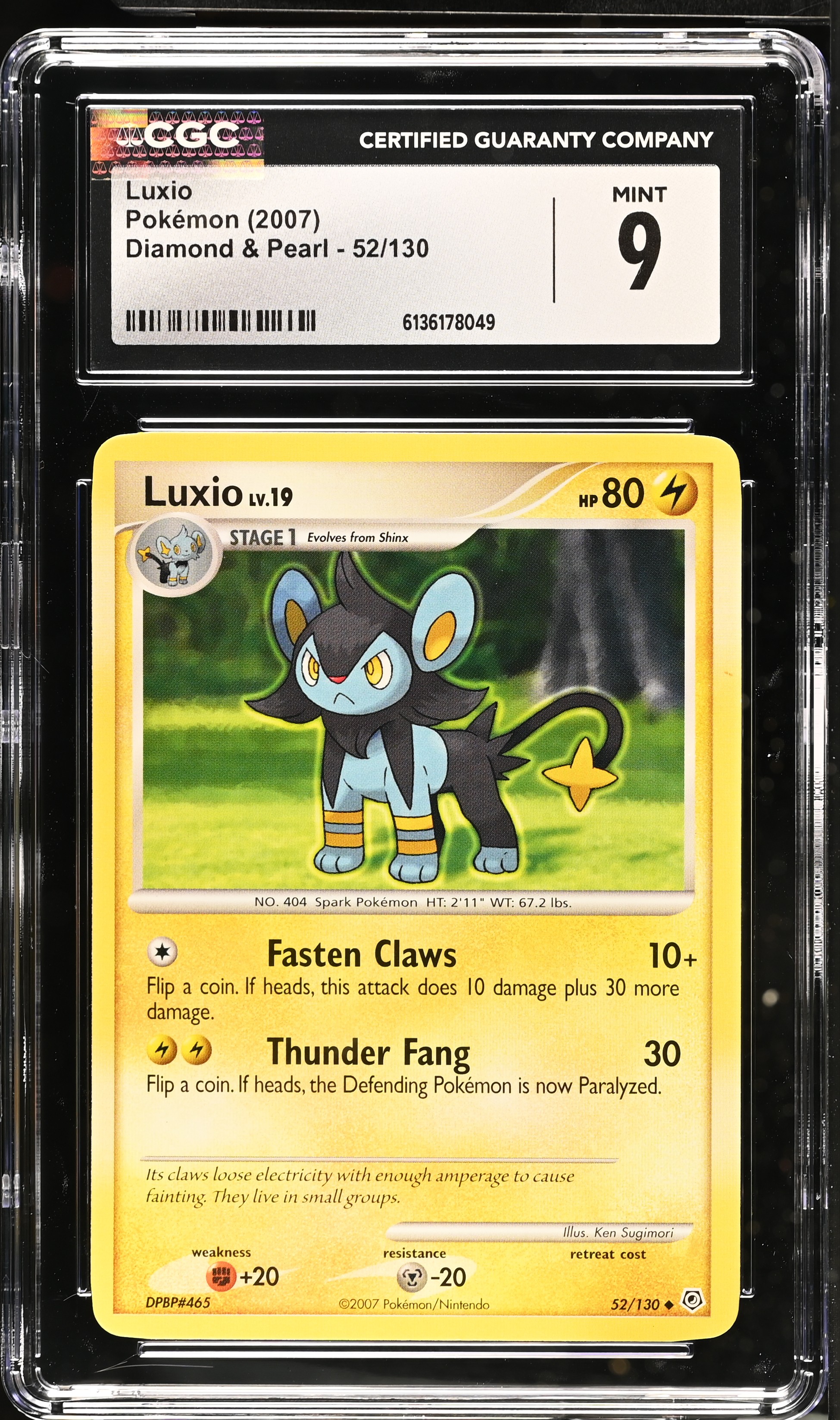 2007 Pokemon Diamond & Pearl Luxio English