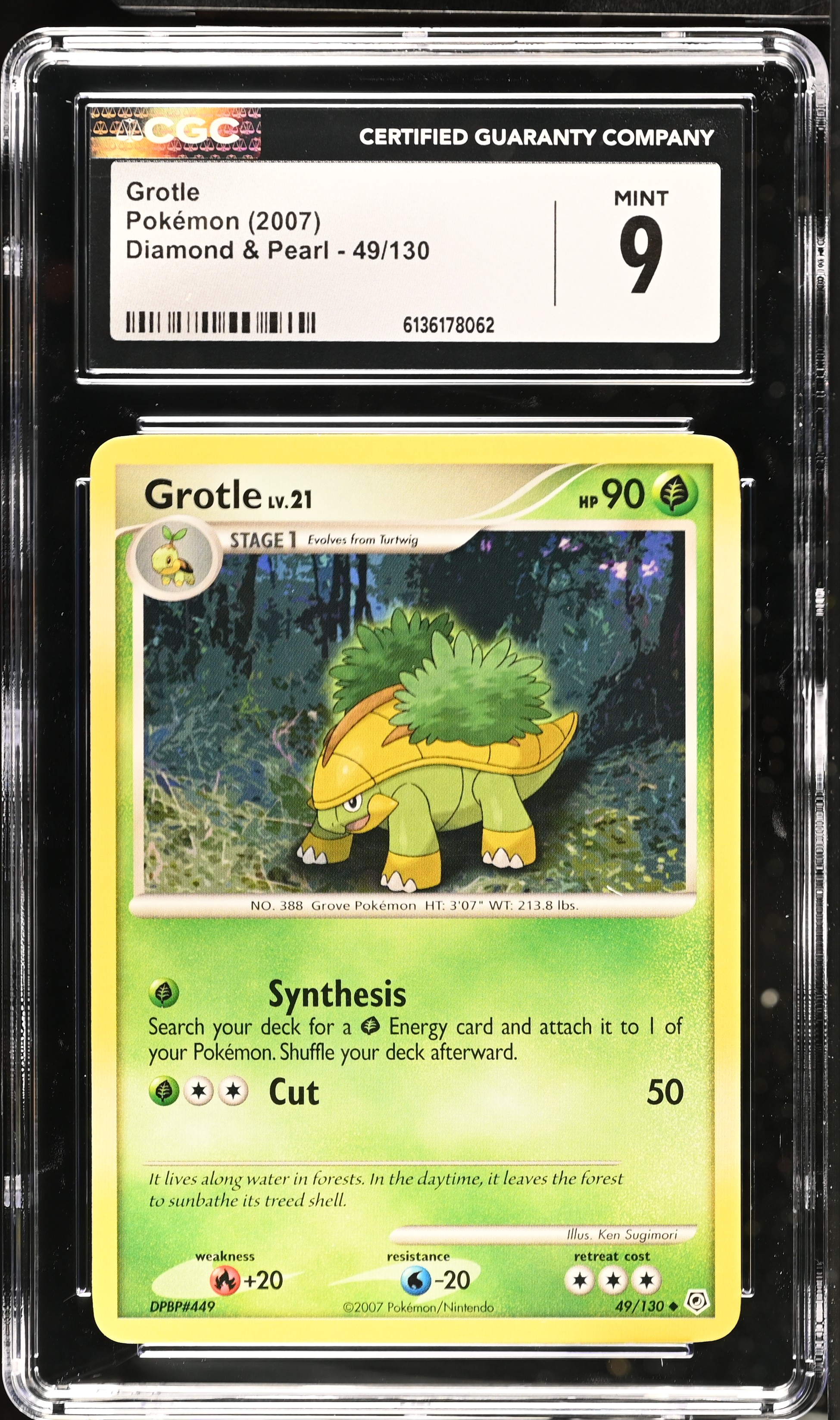 2007 Pokémon Diamond & Pearl Grotle English
