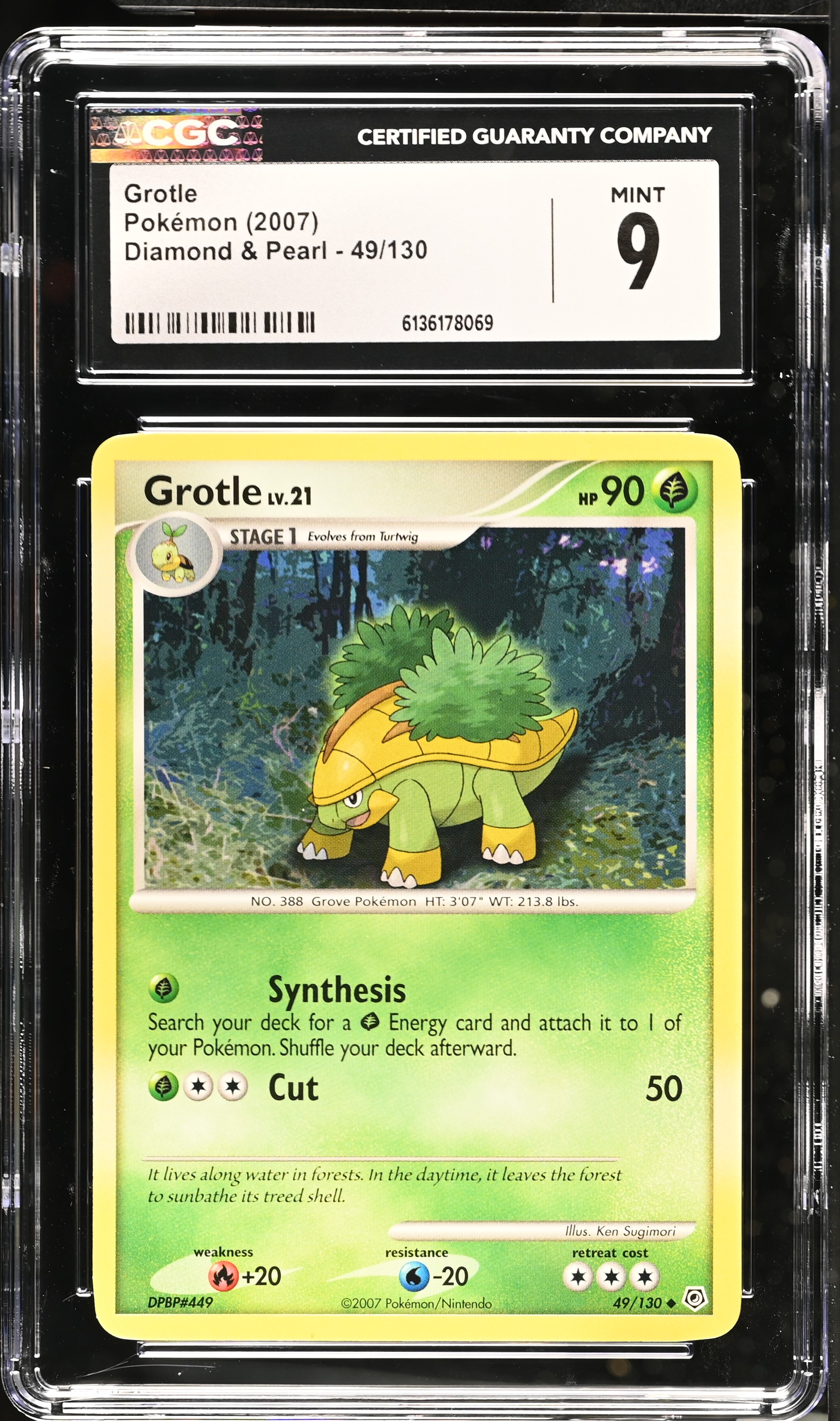 2007 Pokemon Diamond & Pearl Grotle English