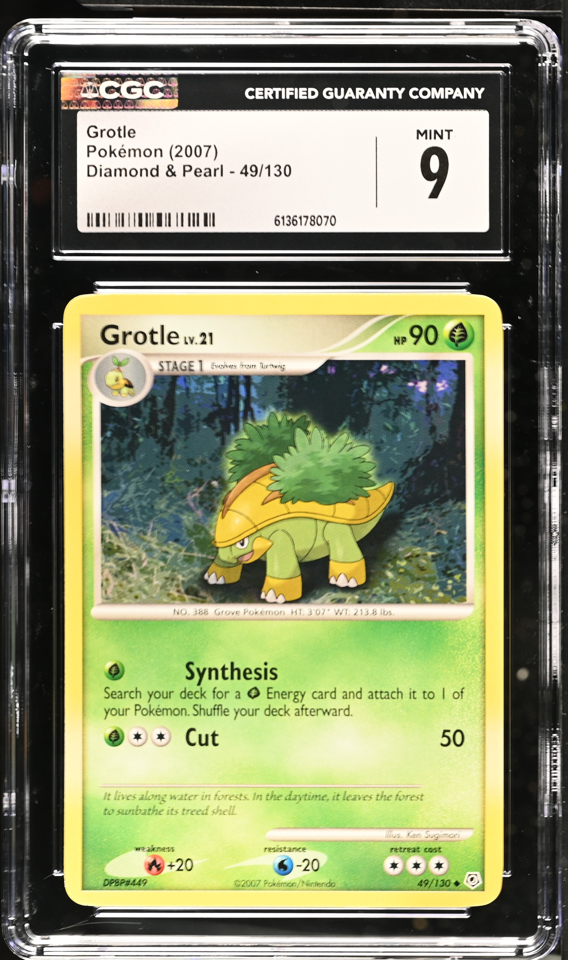 2007 Pokemon Diamond & Pearl Grotle English