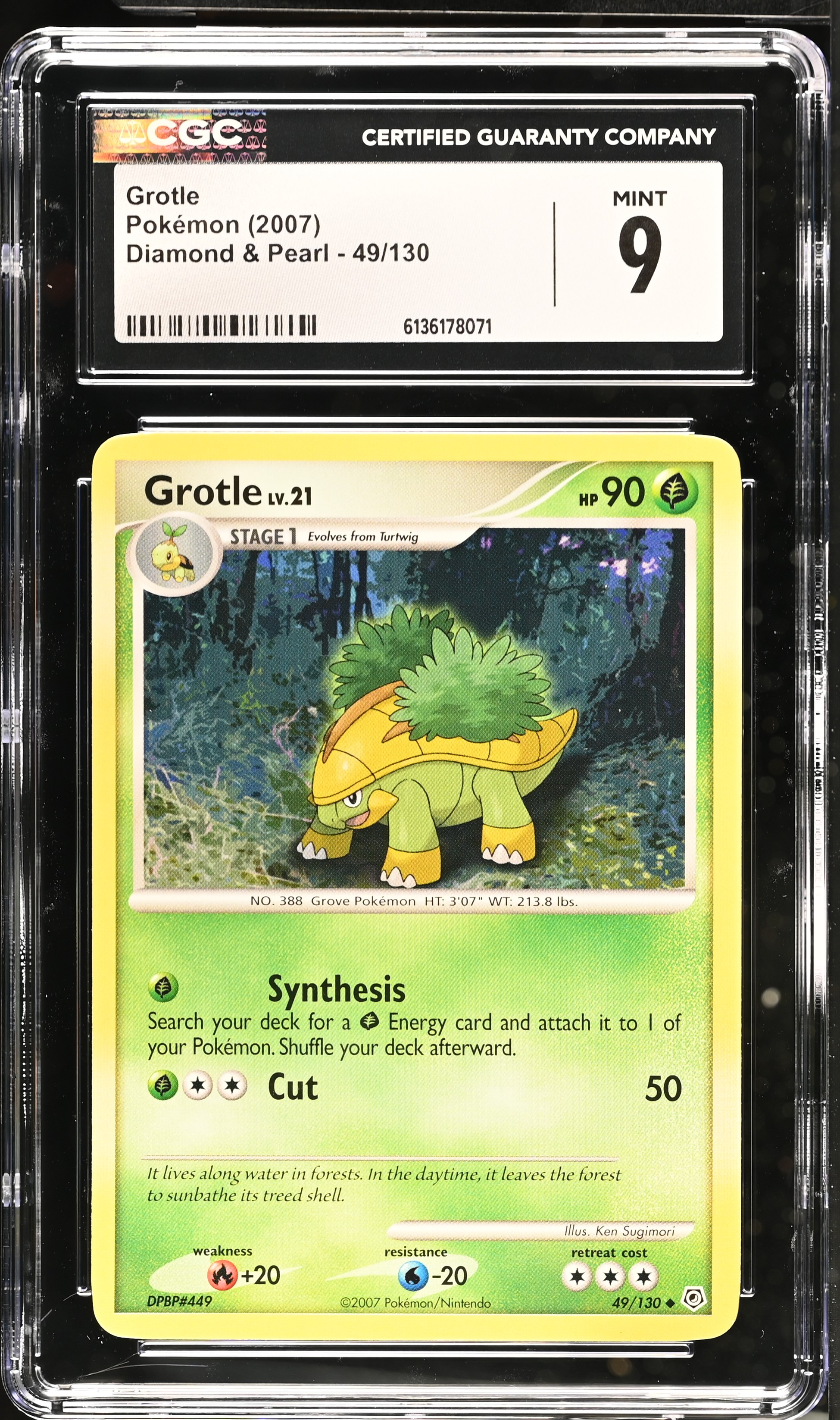 2007 Pokemon Diamond & Pearl Grotle English