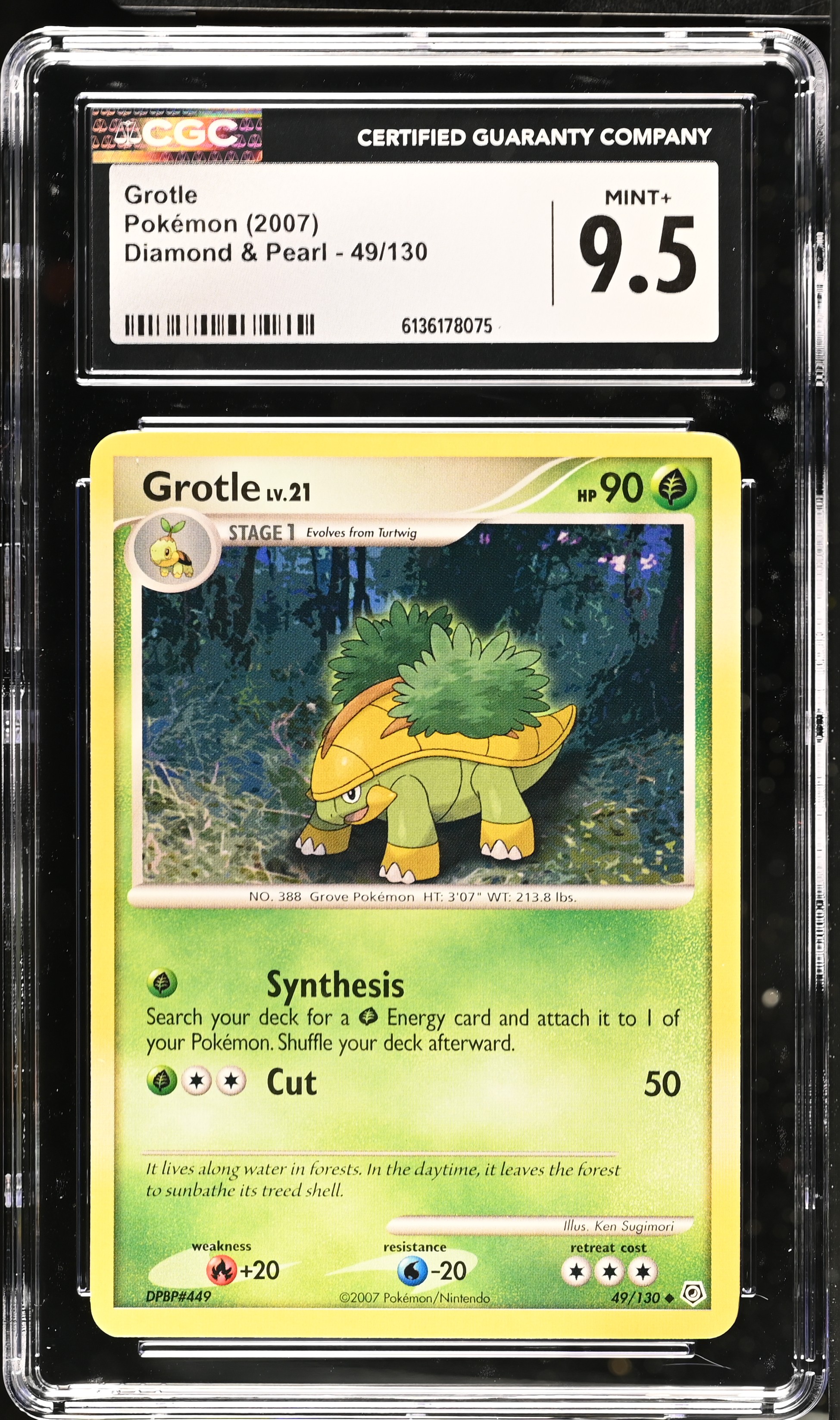 2007 Pokemon Diamond & Pearl Grotle English