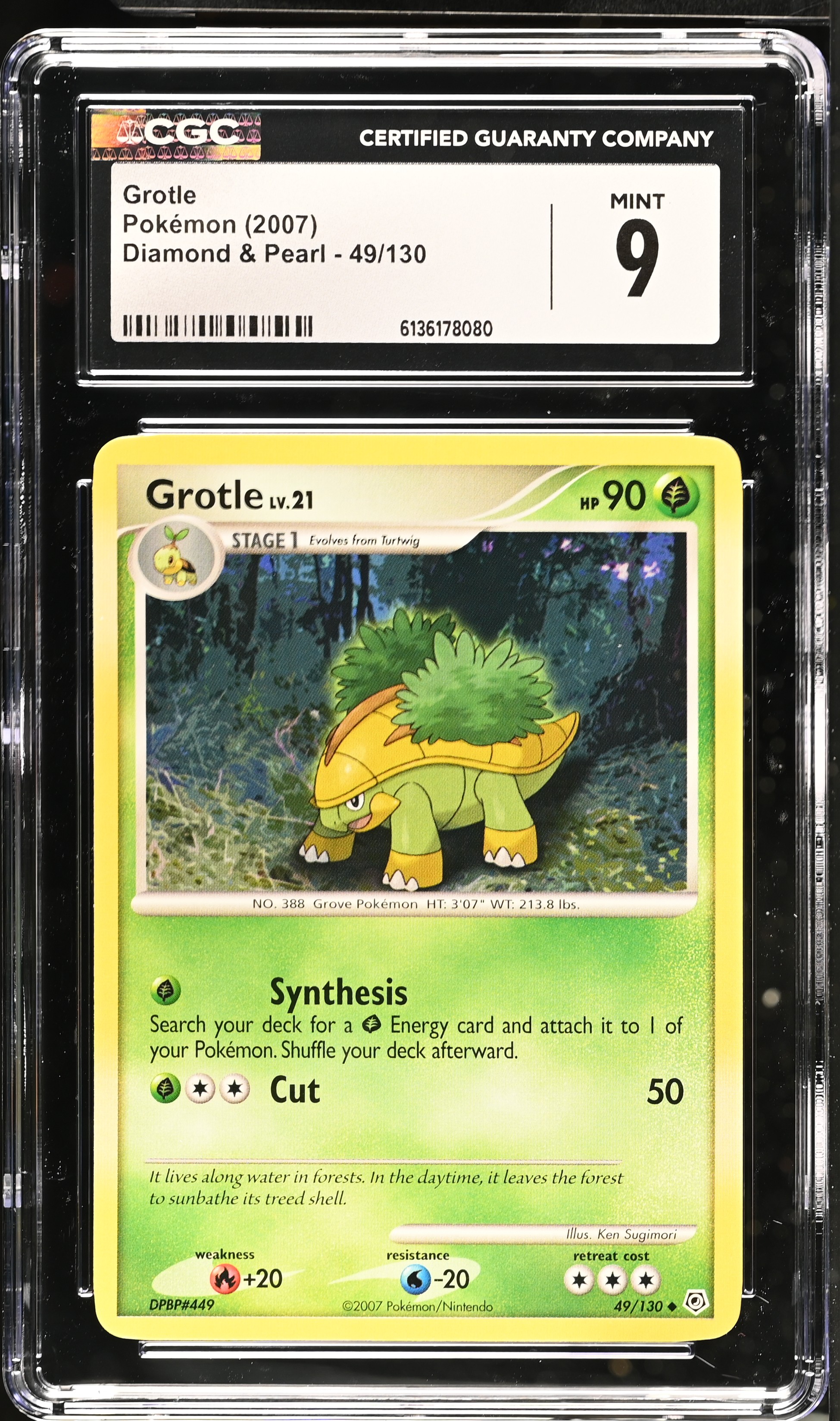 2007 Pokemon Diamond & Pearl Grotle English