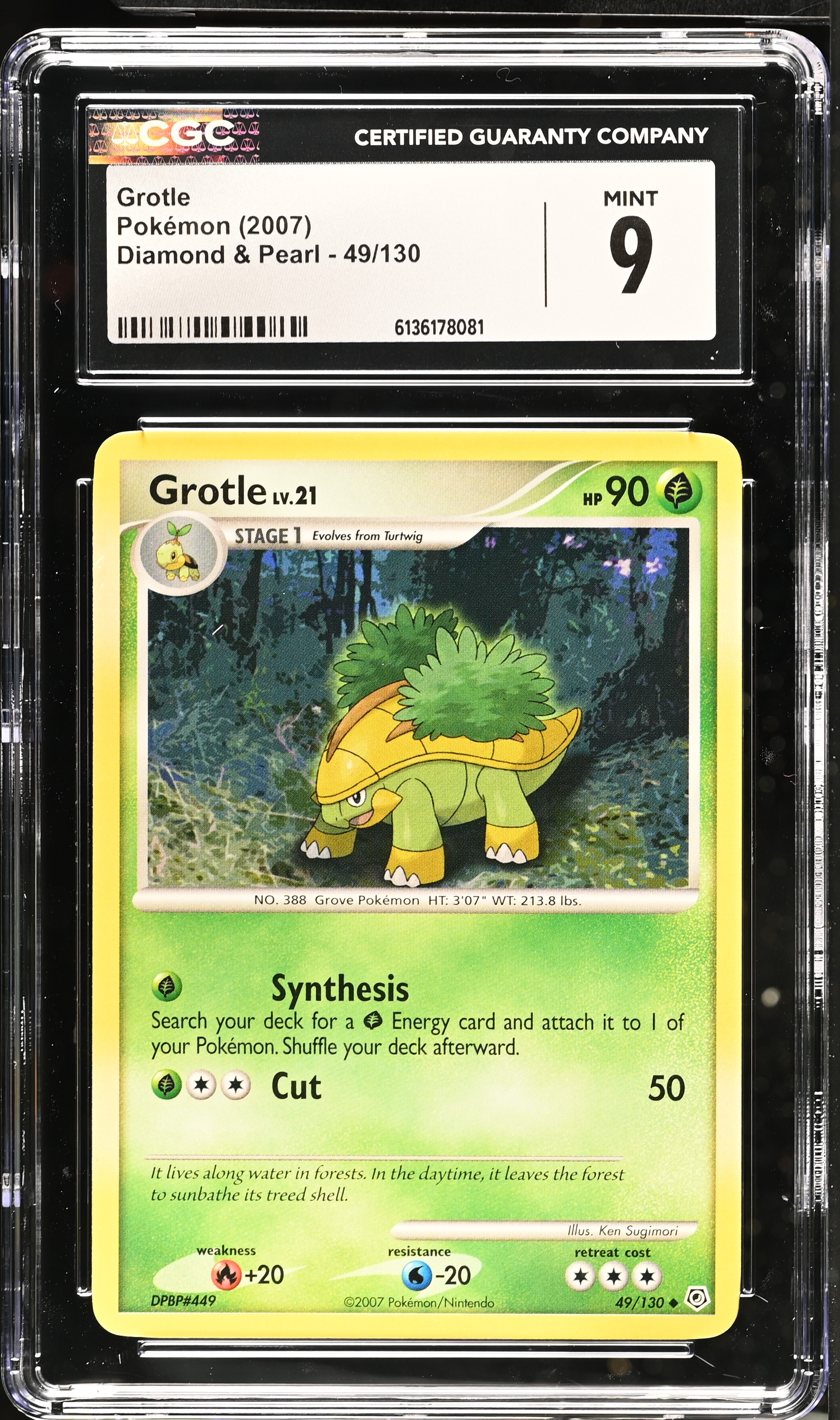 2007 Pokemon Diamond & Pearl Grotle English