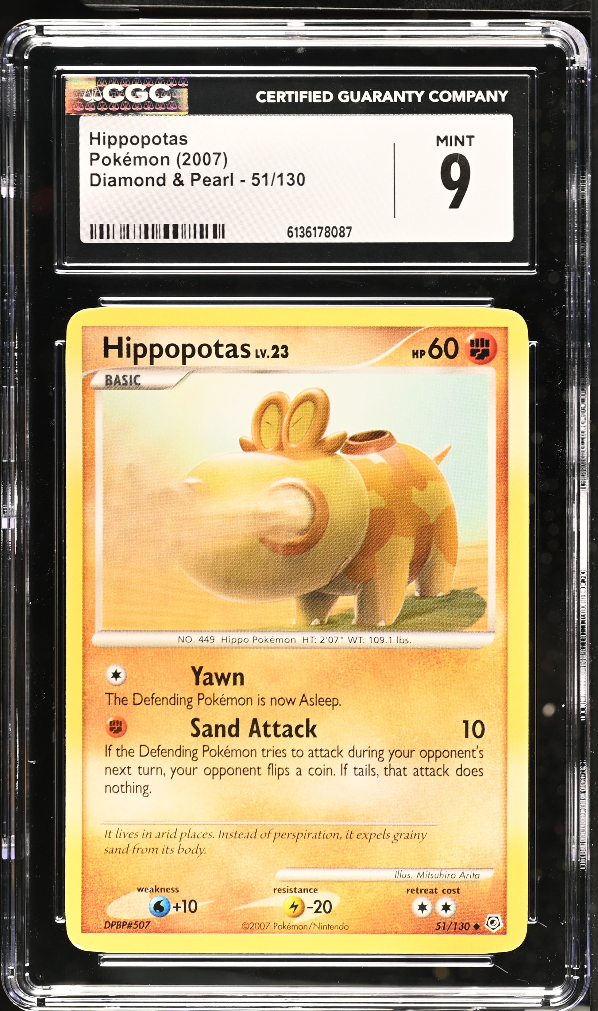 2007 Pokemon Diamond & Pearl Hippopotas English