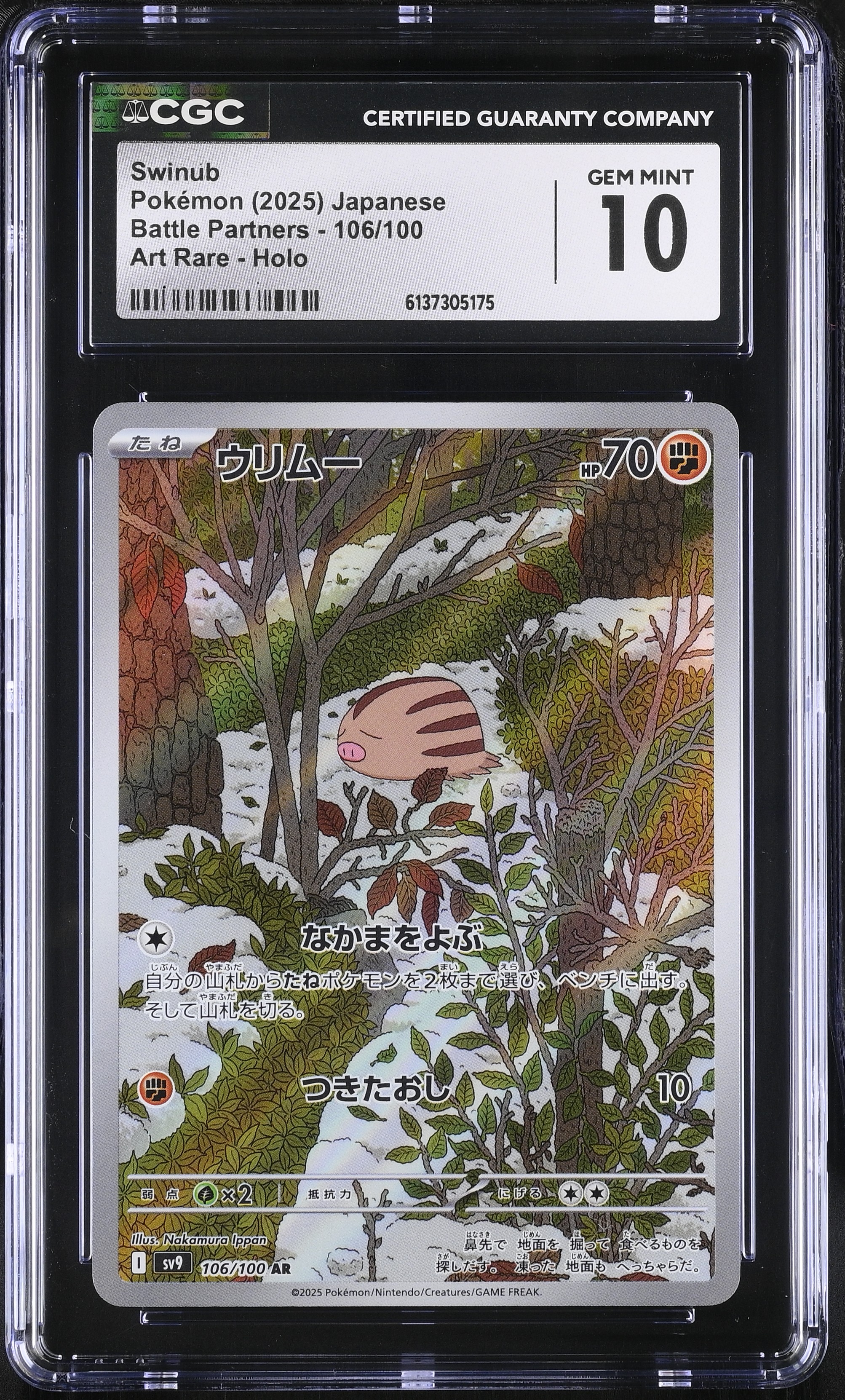 2025 Pokemon Battle Partners Swinub Art Rare Holo Japanese
