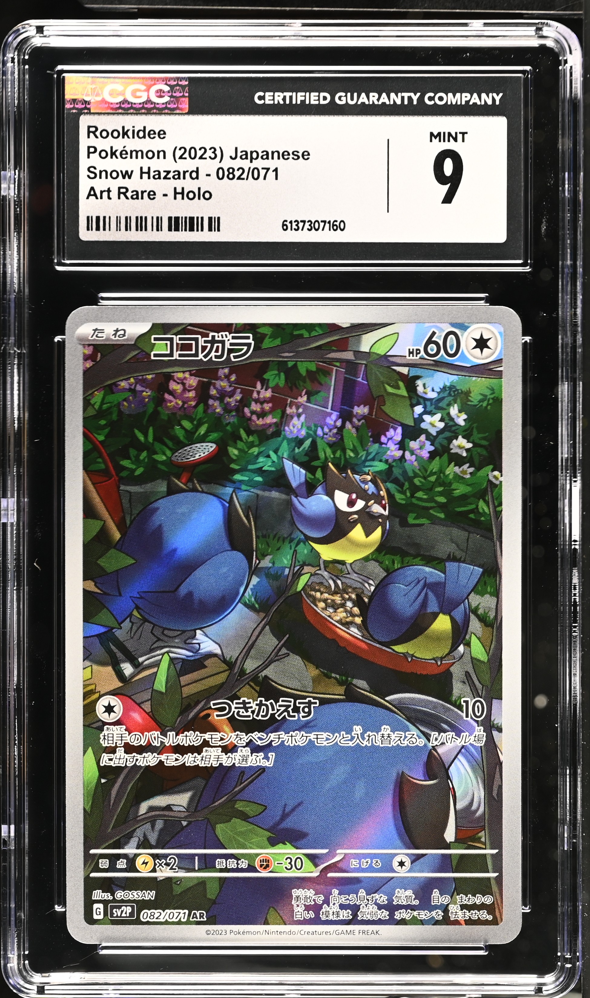2023 Pokémon Snow Hazard Rookidee Art Rare Holo Japanese