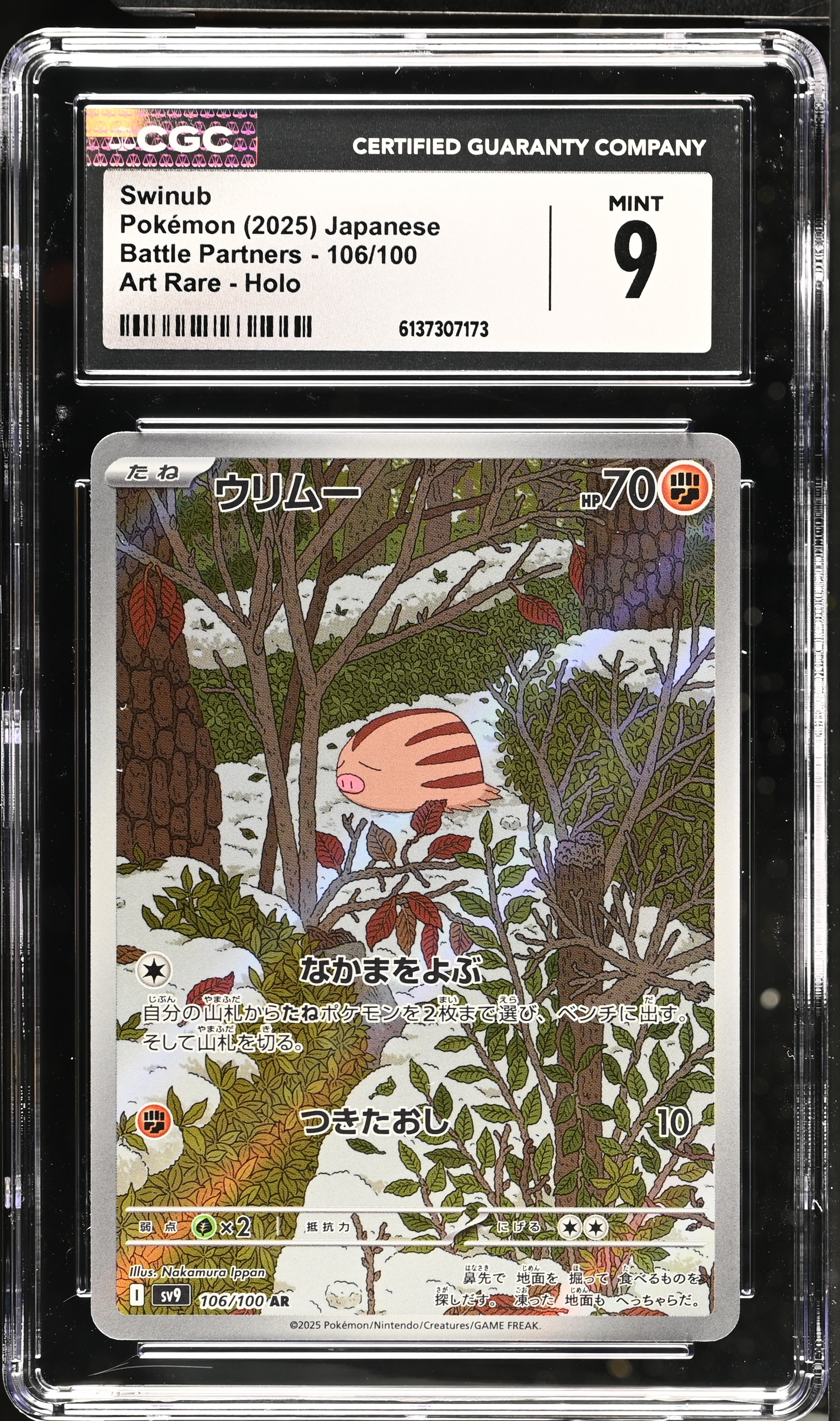 2025 Pokémon Battle Partners Swinub Art Rare Holo Japanese