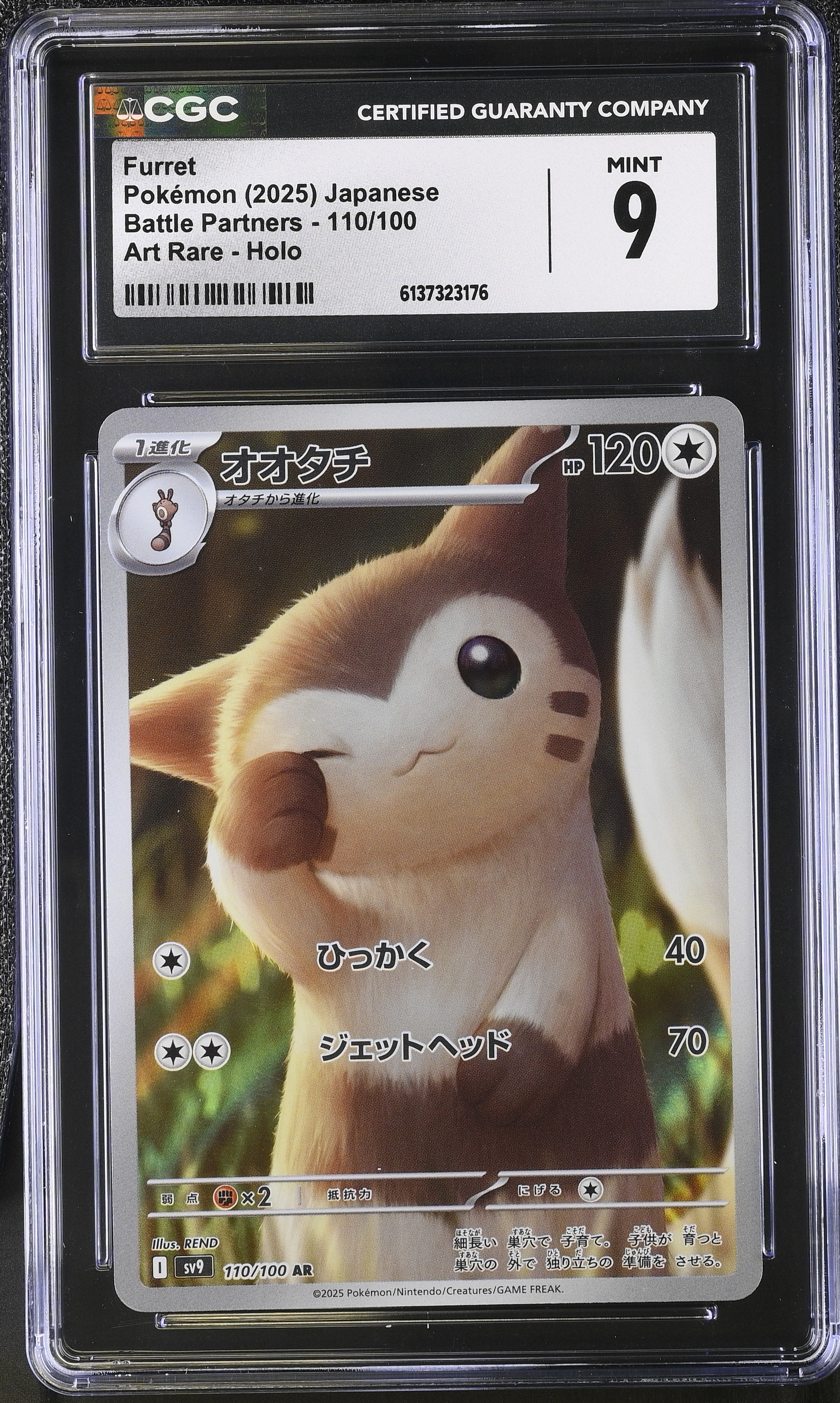 2025 Pokemon Battle Partners Furret Art Rare Holo Japanese