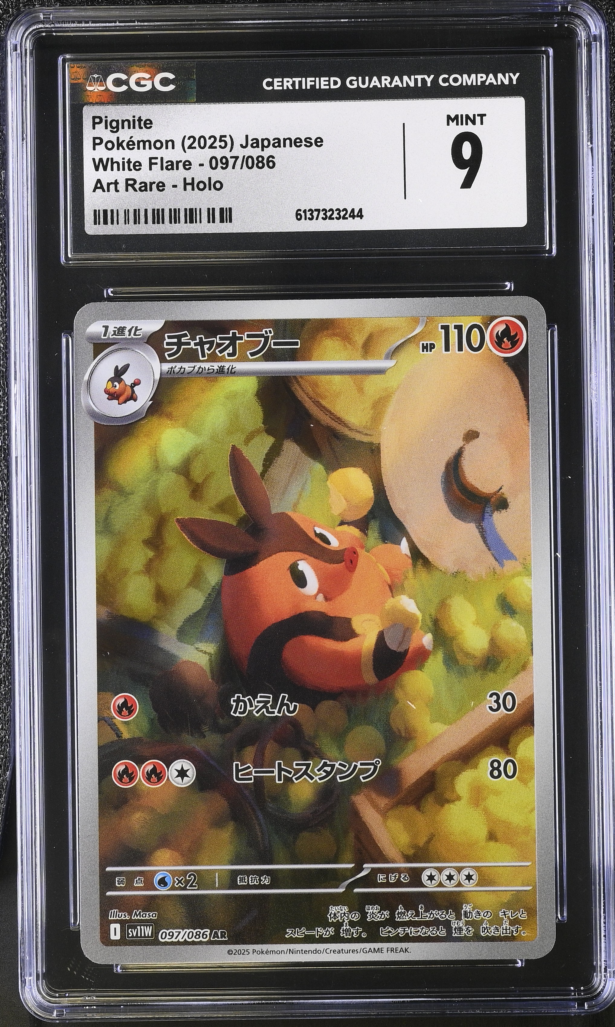 2025 Pokemon White Flare Pignite Art Rare Holo Japanese