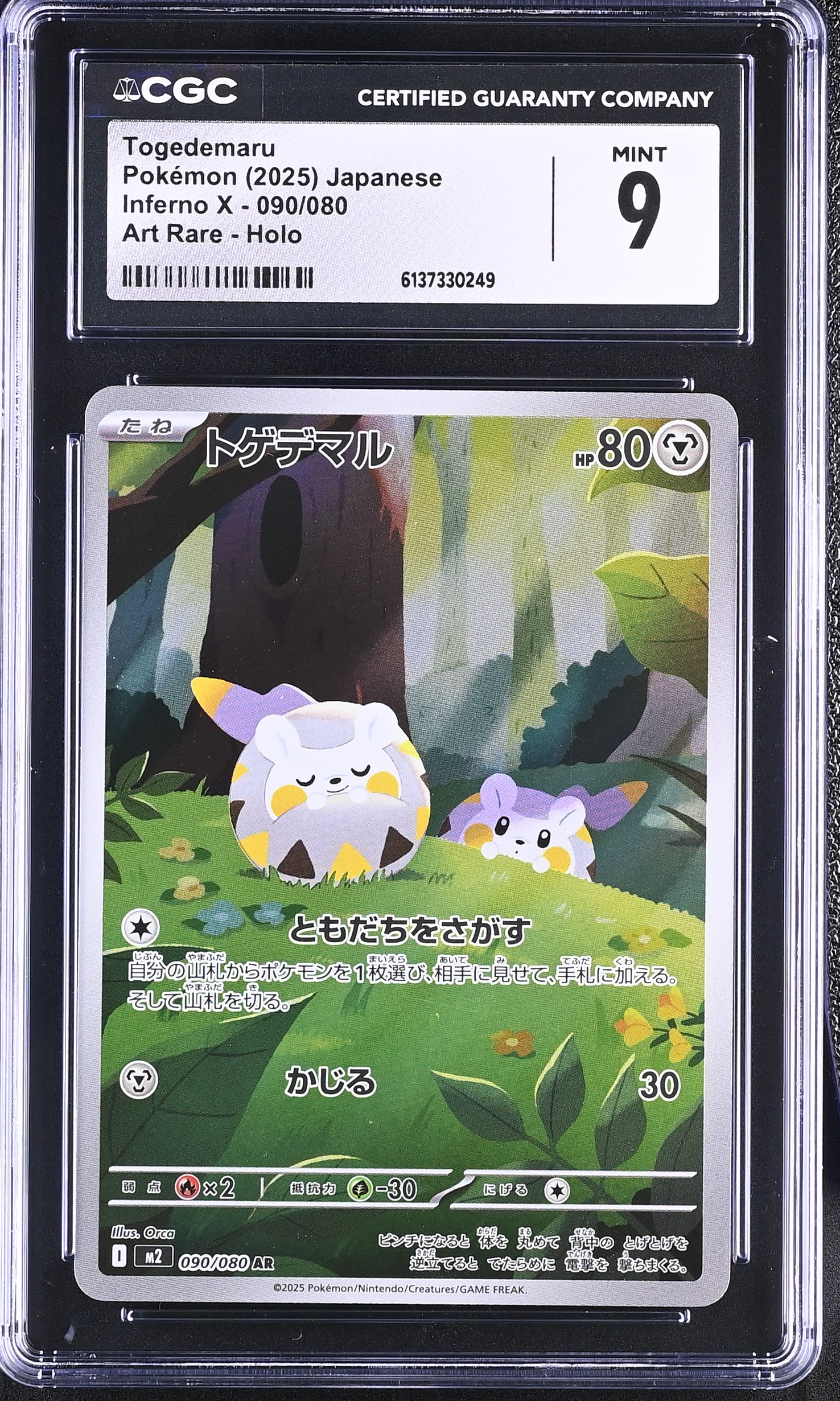 2025 Pokemon Inferno X Togedemaru Art Rare Holo Japanese