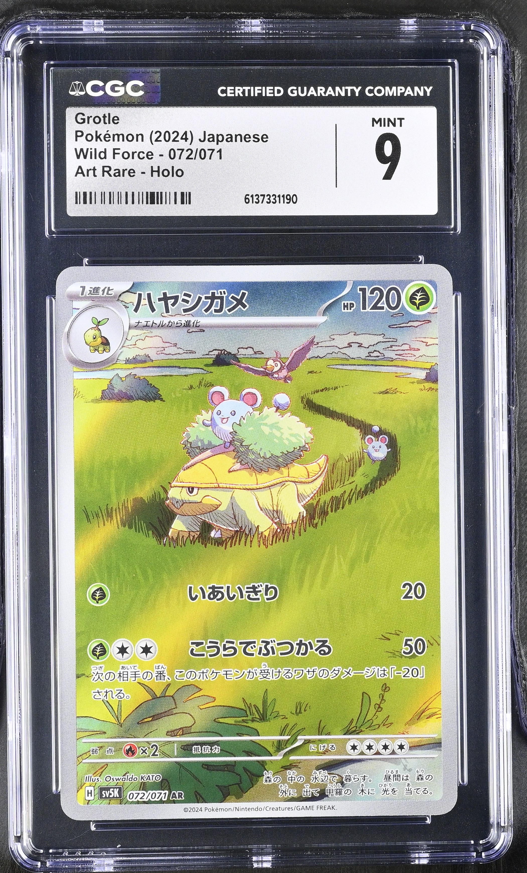 2024 Pokemon Wild Force Grotle Art Rare Holo Japanese