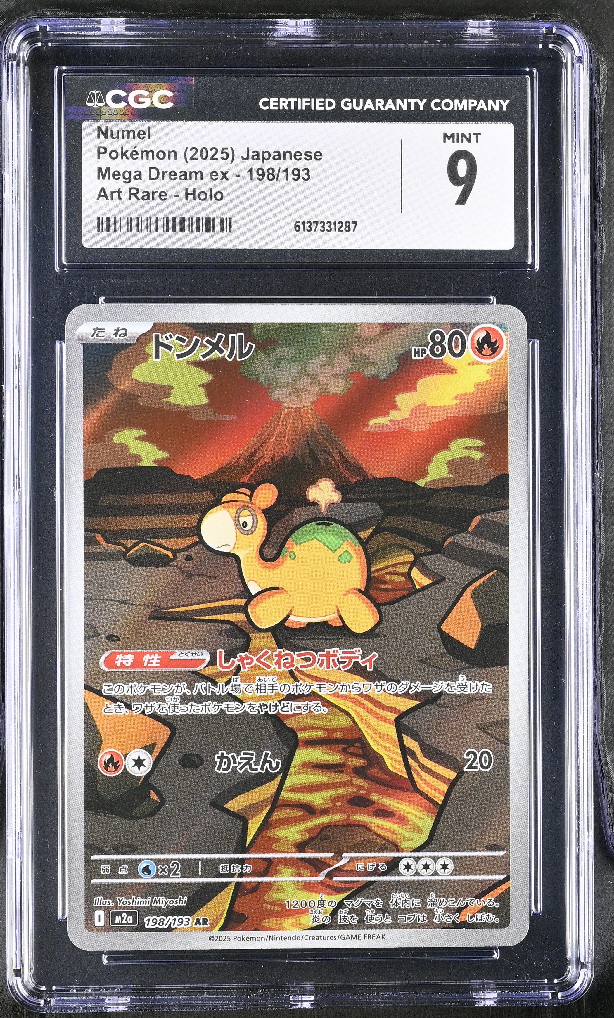 2025 Pokemon Mega Dream ex Numel Art Rare Holo Japanese