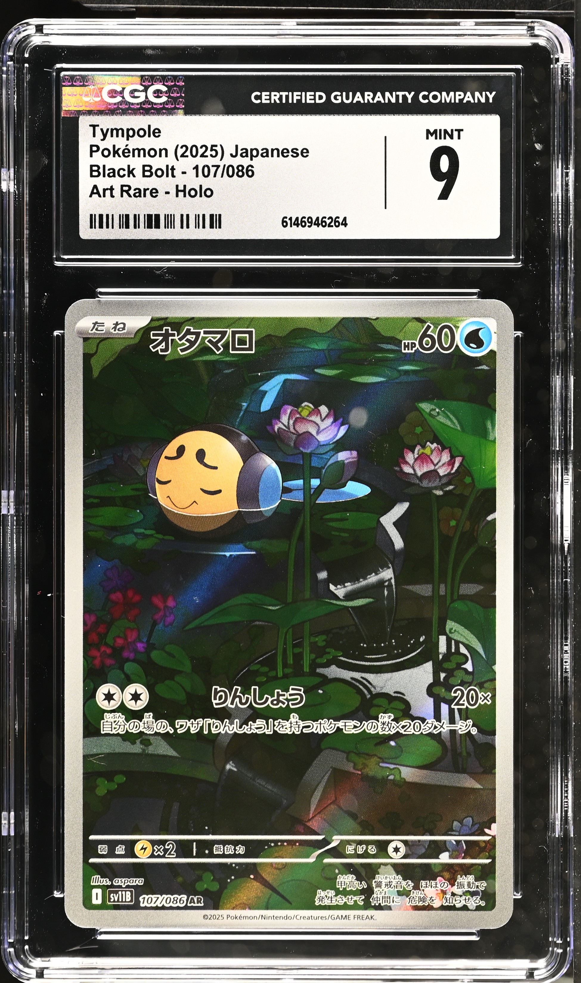 2025 Pokemon Black Bolt Tympole Art Rare Holo Japanese