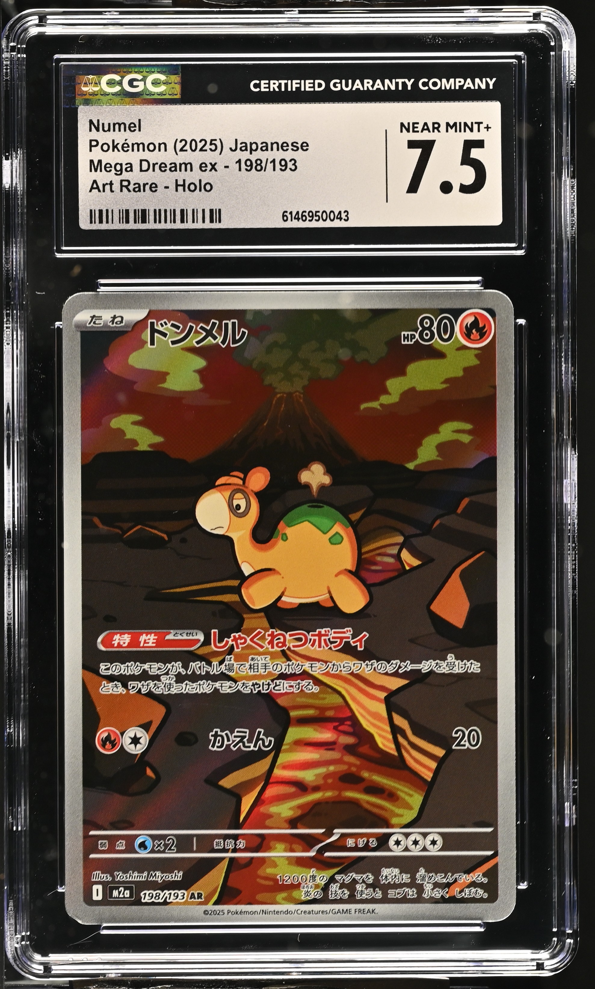 2025 Pokemon Mega Dream ex Numel Art Rare Holo Japanese