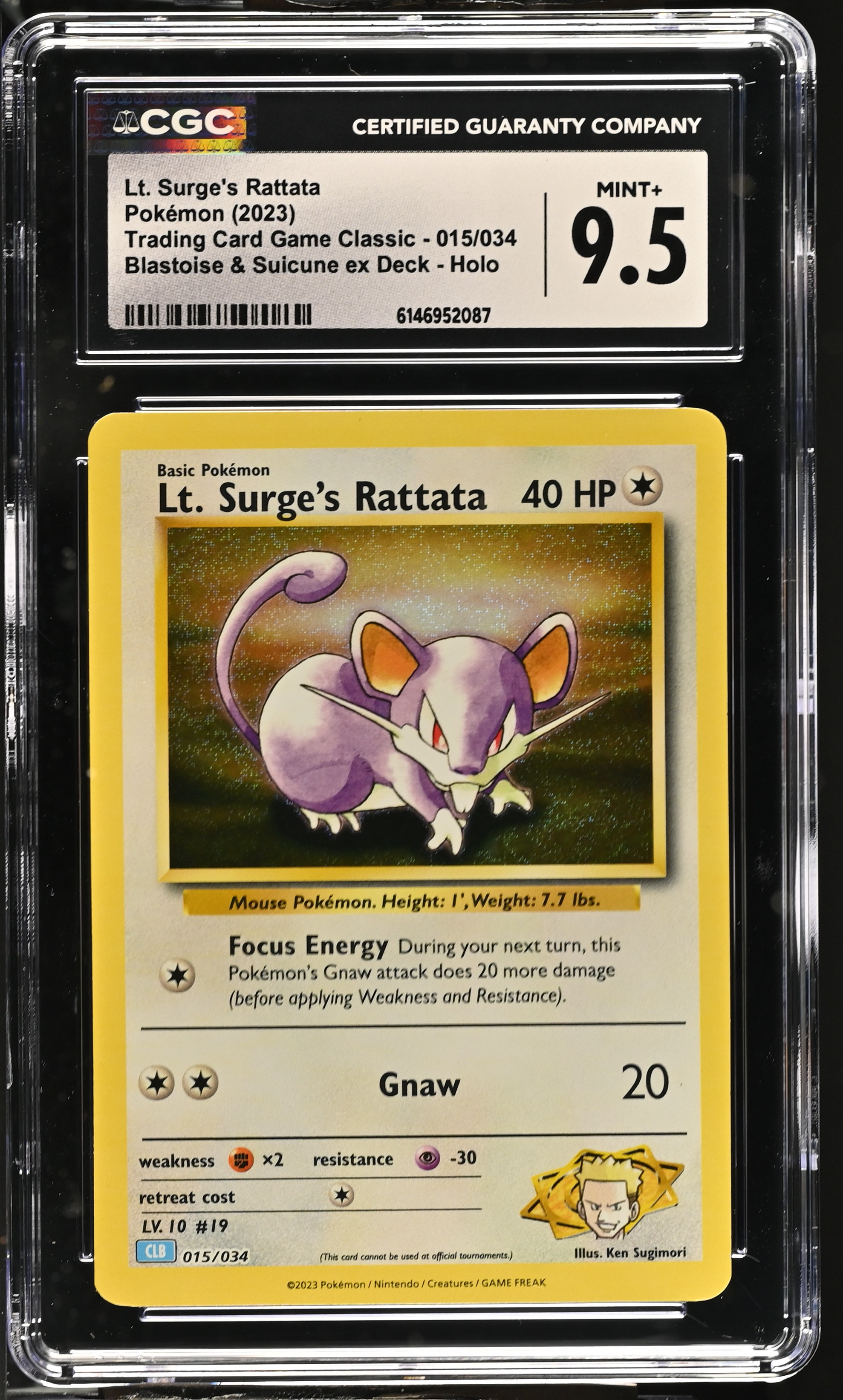 2023 Pokemon Trading Card Game Classic Lt. Surge's Rattata Blastoise & Suicune ex Deck Holo English