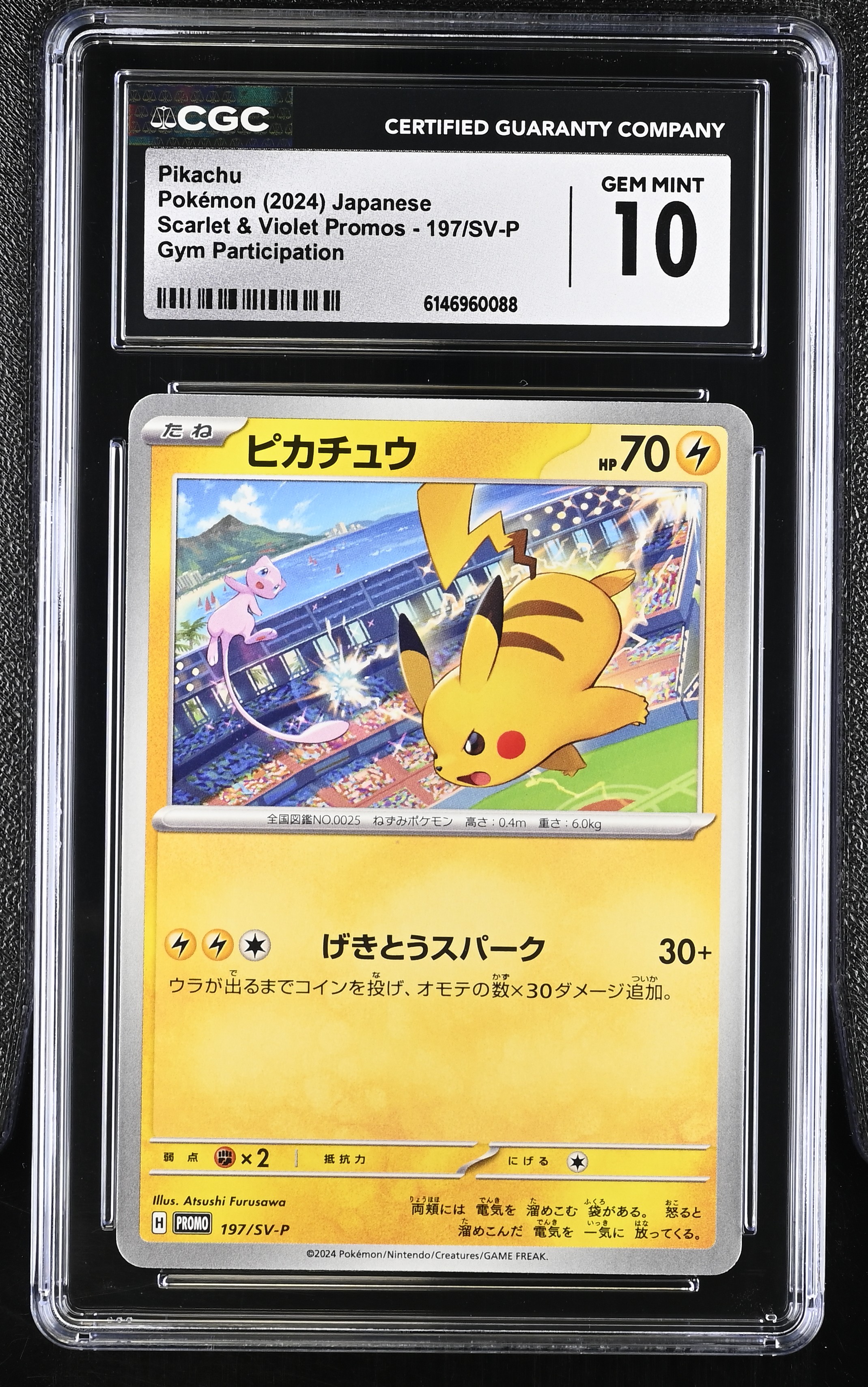 2024 Pokemon Scarlet & Violet Promos Pikachu Gym Participation Japanese