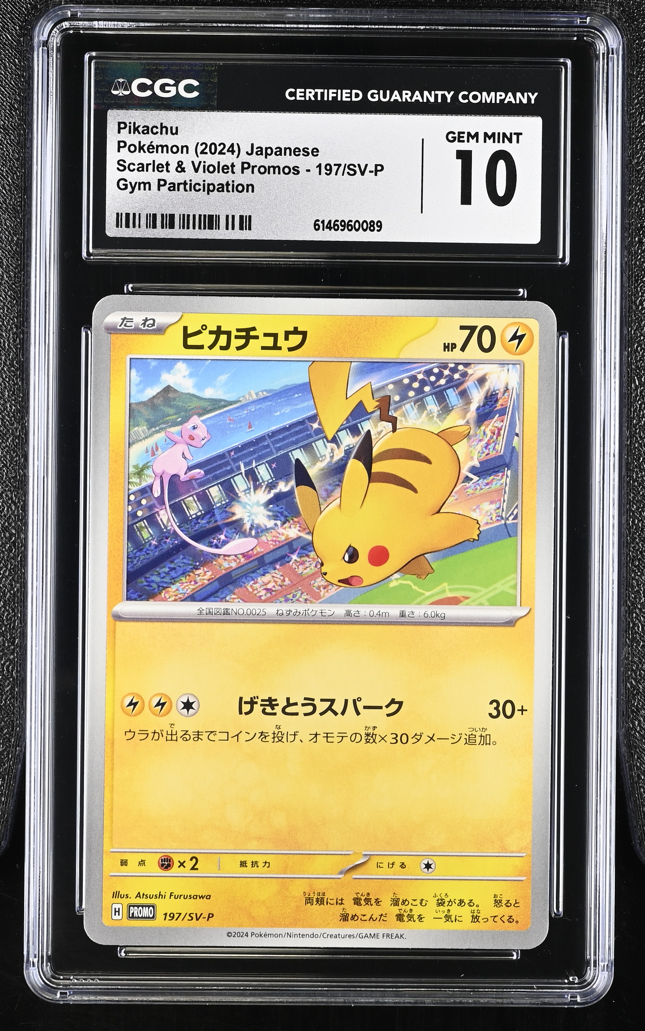 2024 Pokemon Scarlet & Violet Promos Pikachu Gym Participation Japanese