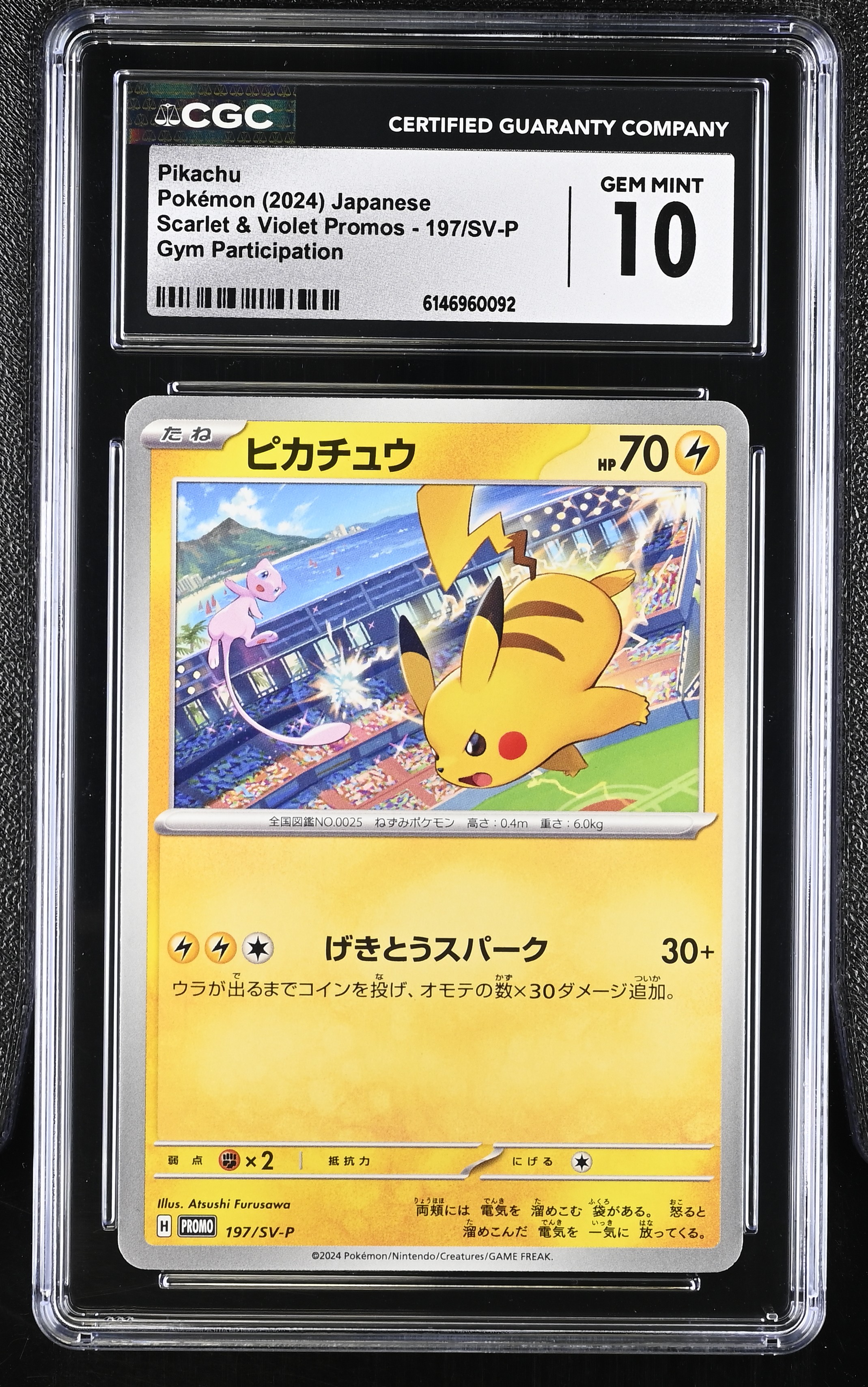 2024 Pokemon Scarlet & Violet Promos Pikachu Gym Participation Japanese
