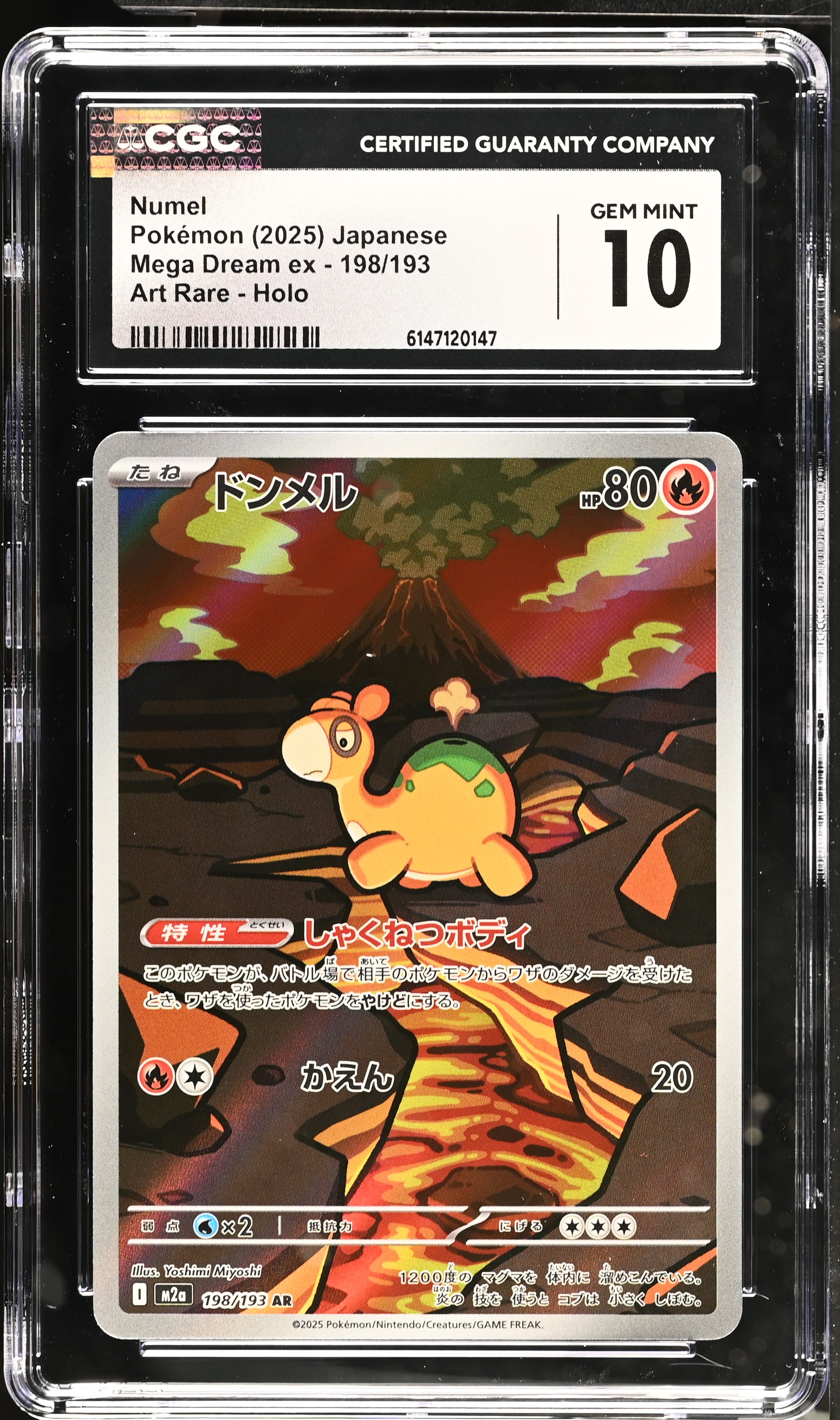 2025 Pokemon Mega Dream ex Numel Art Rare Holo Japanese