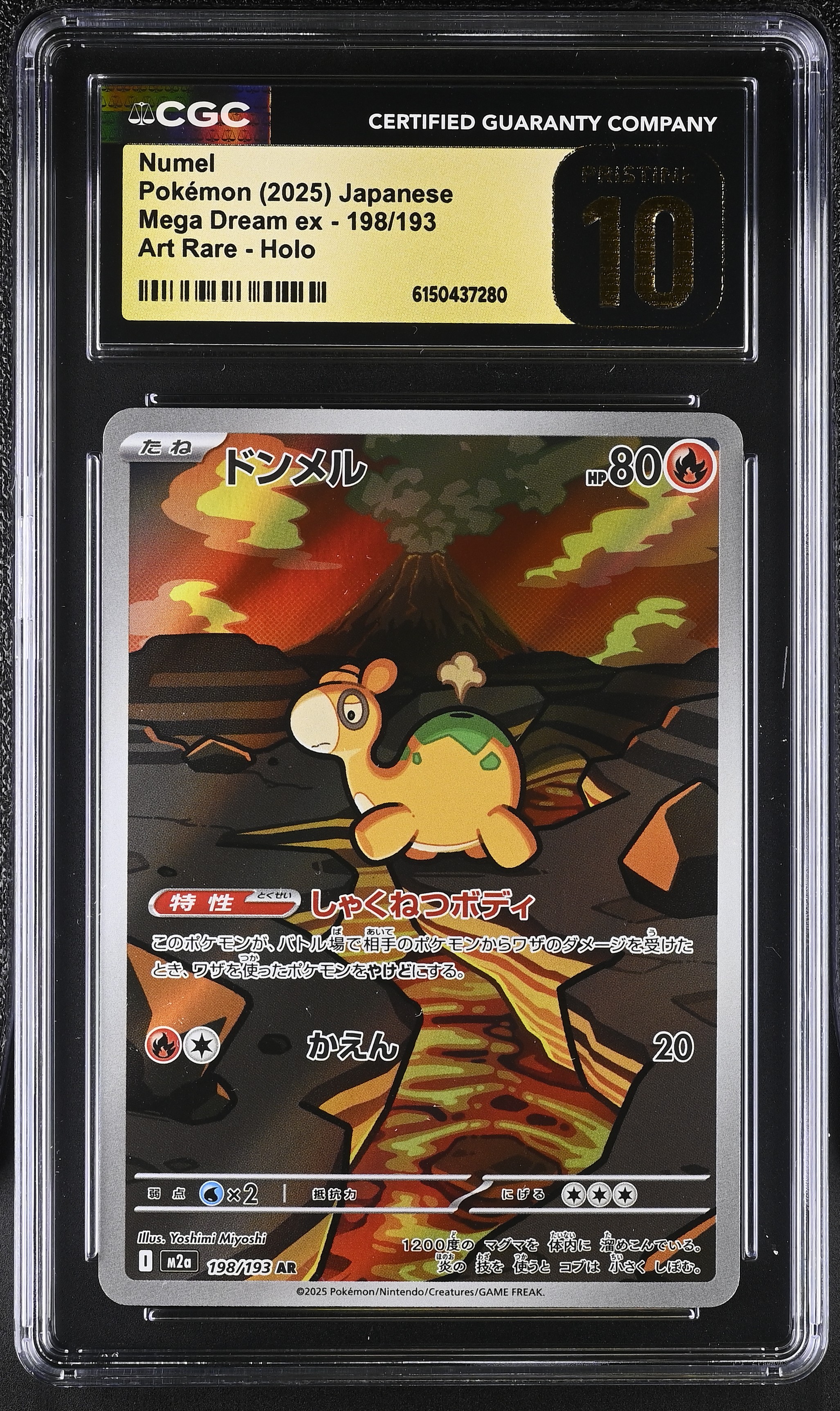 2025 Pokemon Mega Dream ex Numel Art Rare Holo Japanese