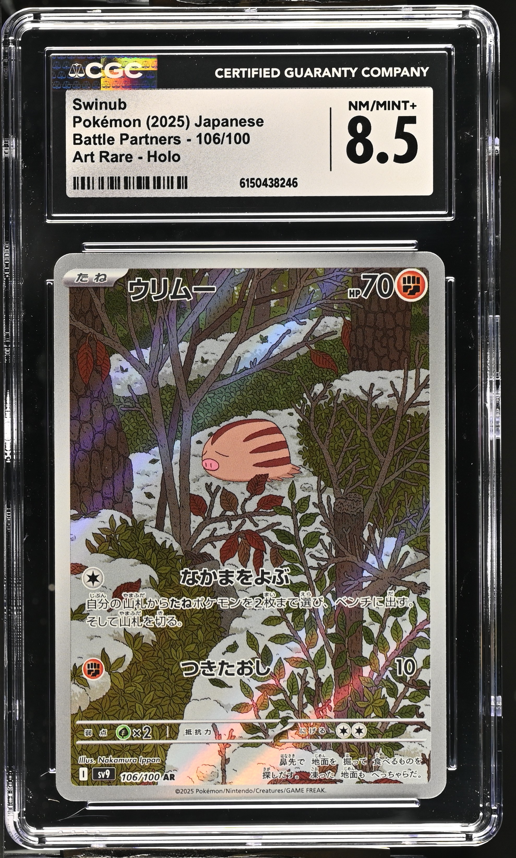 2025 Pokemon Battle Partners Swinub Art Rare Holo Japanese