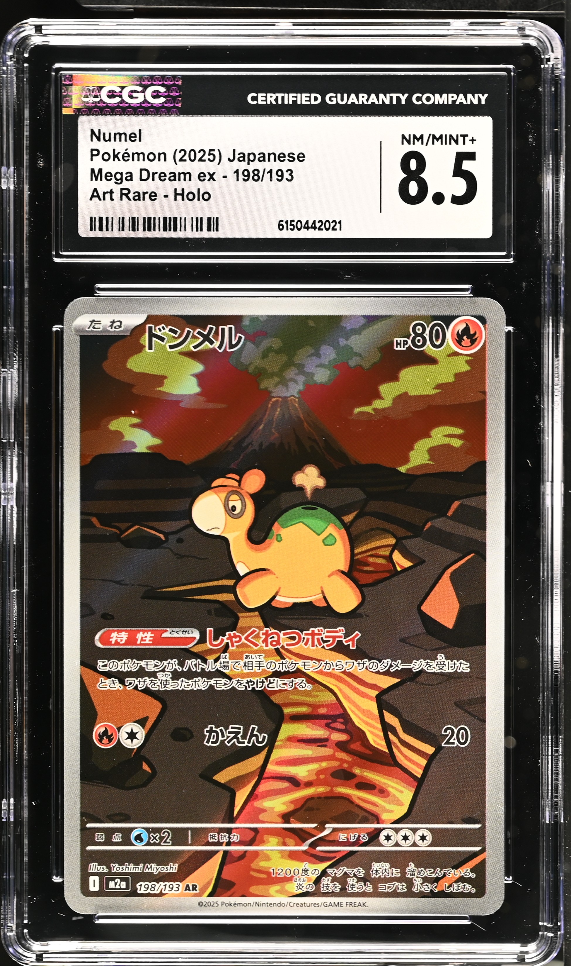2025 Pokemon Mega Dream ex Numel Art Rare Holo Japanese