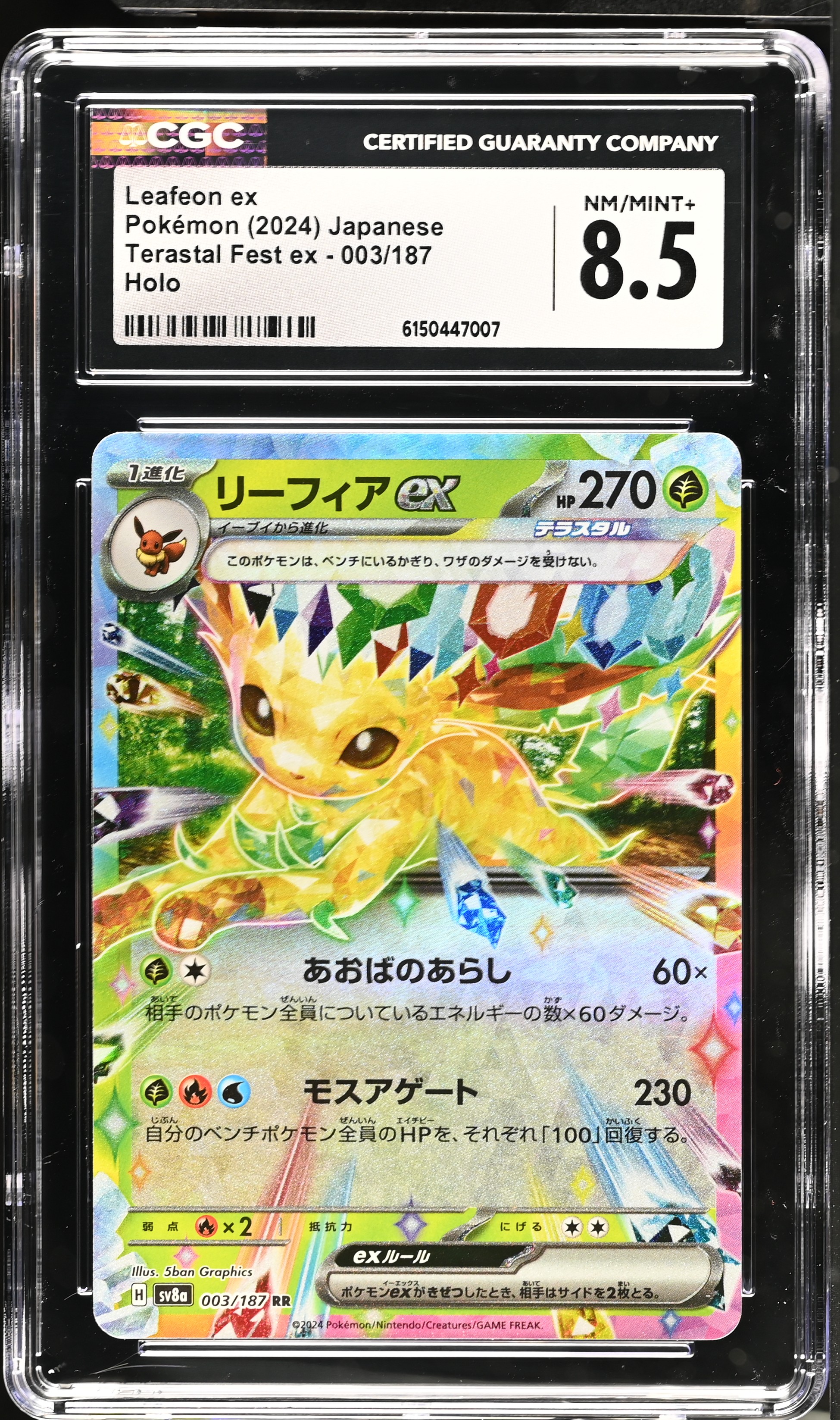 2024 The Pokemon Company Terastal Fest ex Leafeon Holo