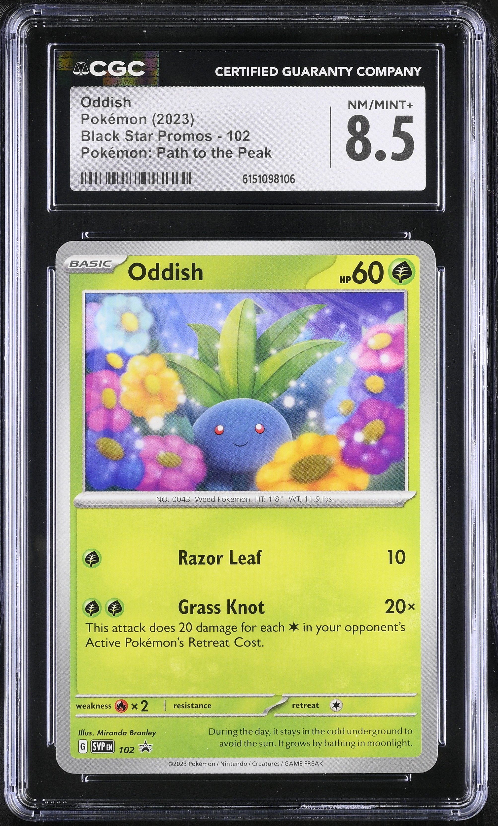 2023 Pokemon Black Star Promos Oddish Pokemon: Path to the Peak English